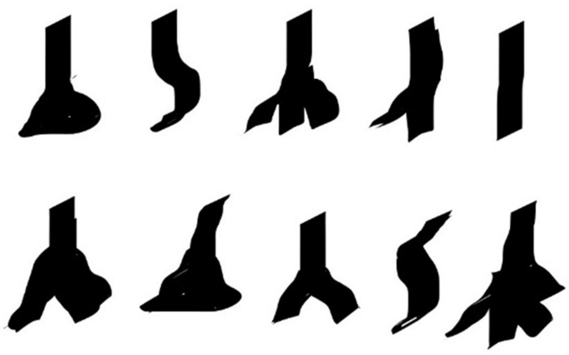 www.frontiersin.org