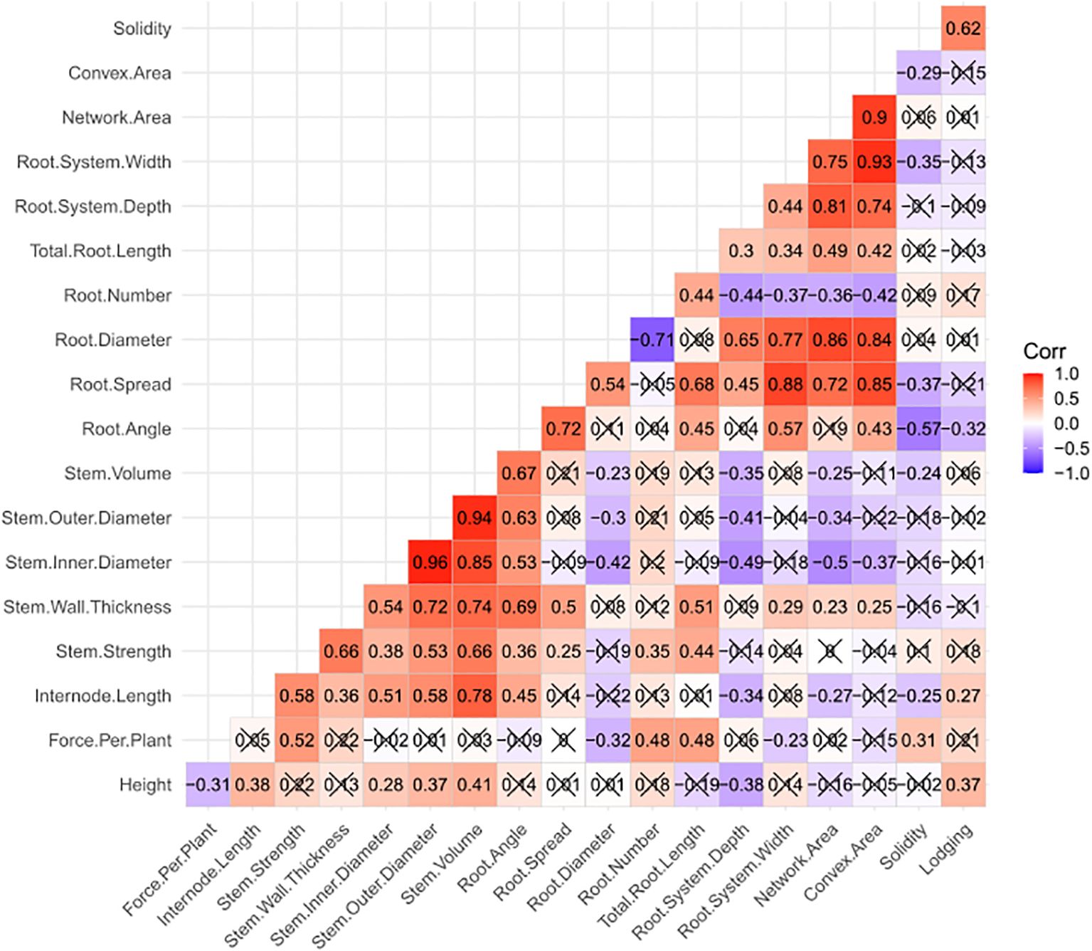 Correlation matrix heatmap displaying relationships between plant traits such as solidity, stem volume, and root diameter. Colors range from blue to red, indicating correlations from negative to positive. Most values show moderate to strong positive correlations, especially among root-related traits.