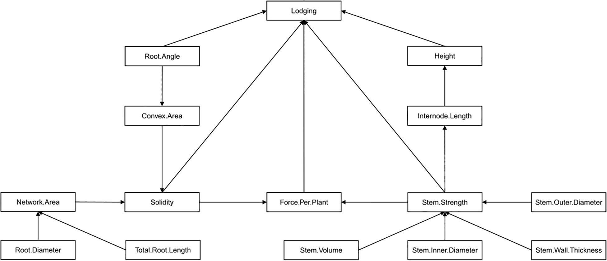 A chart depicting a hypothetical model of traits that affect lodging in barley. Lodging is directly influenced by root angle, height, solidity, stem strength and force per plant. Lodging is indirectly influenced by nine other traits. Arrows indicate the direction of influence.