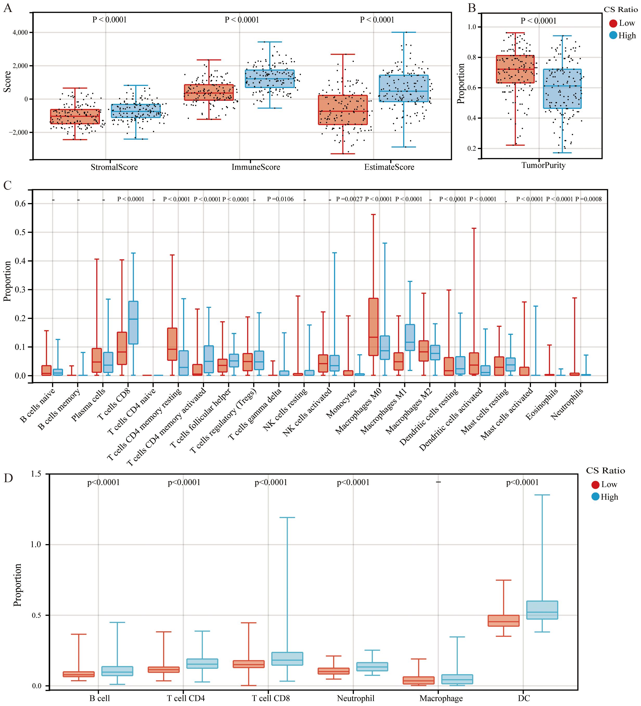 Box plots showing various scores and proportions related to immune cell activity across different conditions. Panel A displays StromalScore, ImmuneScore, and EstimateScore. Panel B presents TumorPurity. Panel C illustrates proportions of various immune cell types, while Panel D shows B cell, CD4, CD8, neutrophil, macrophage, and DC proportions. Red and blue colors indicate low and high CS Ratios, respectively. Statistical significance is annotated with p-values.