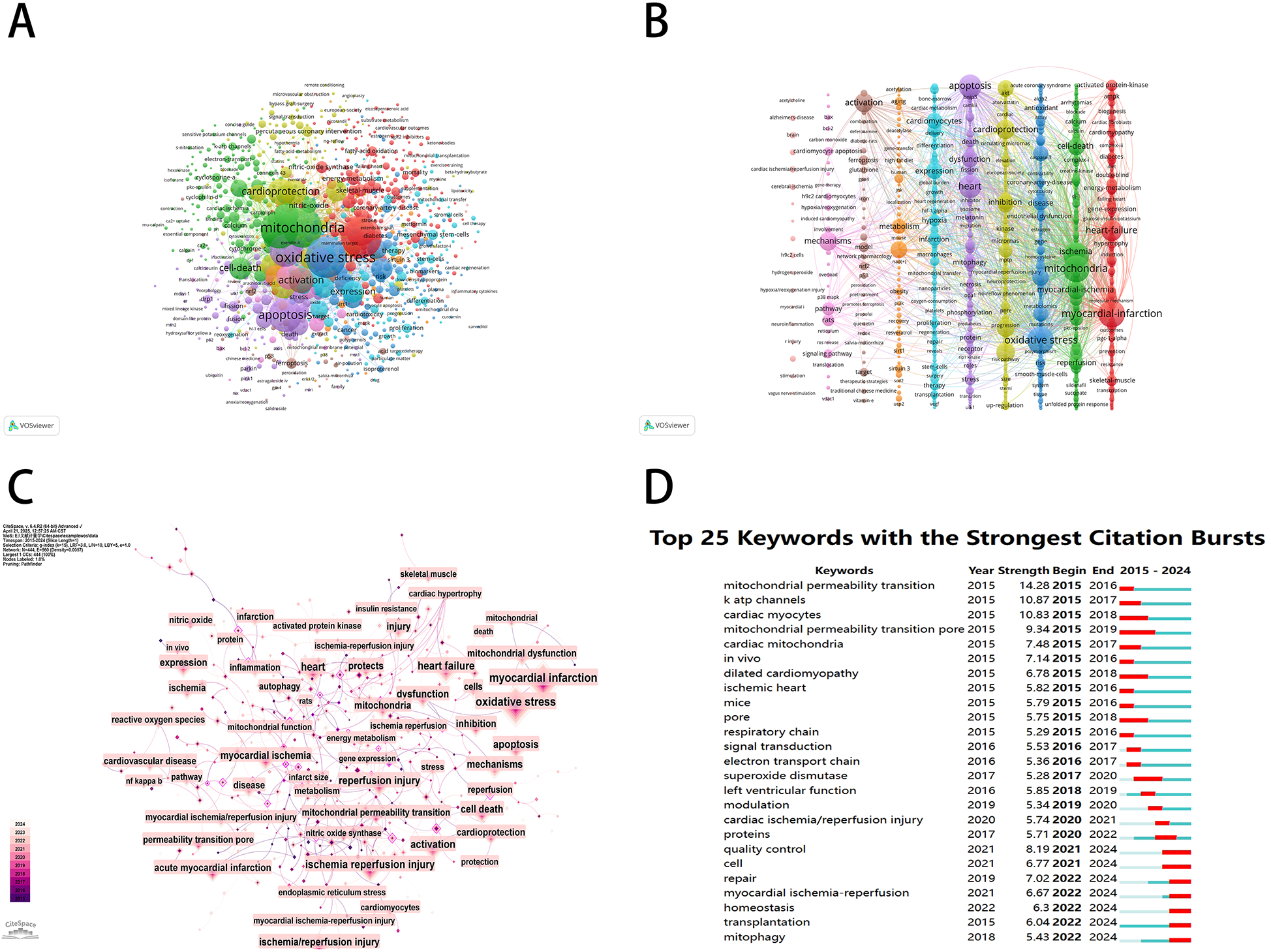 Diagram showing four panels labeled A to D. Panel A displays a network visualization of keywords in clustered groups with varying colors and sizes based on their relevance. Panel B shows a timeline network indicating the evolution of these keywords over time. Panel C illustrates a density map highlighting prominent keywords like \"oxidative stress\" and \"apoptosis.\" Panel D is a ranked list titled \"Top 25 Keywords with the Strongest Citation Bursts,\" showing keywords, citation strength, and timeline bars from 2015 to 2024.