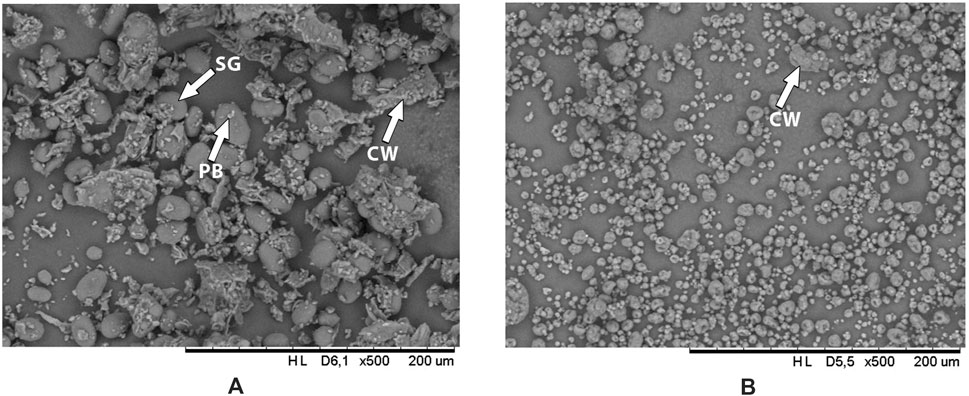 Two grayscale microscopic images labeled A and B, showing clusters of particles. Image A highlights larger, irregular particles labeled SG, PB, and CW. Image B shows a more uniform distribution of smaller particles, with an arrow marking CW. Both images have a magnification of five hundred times and a scale bar indicating two hundred micrometers.