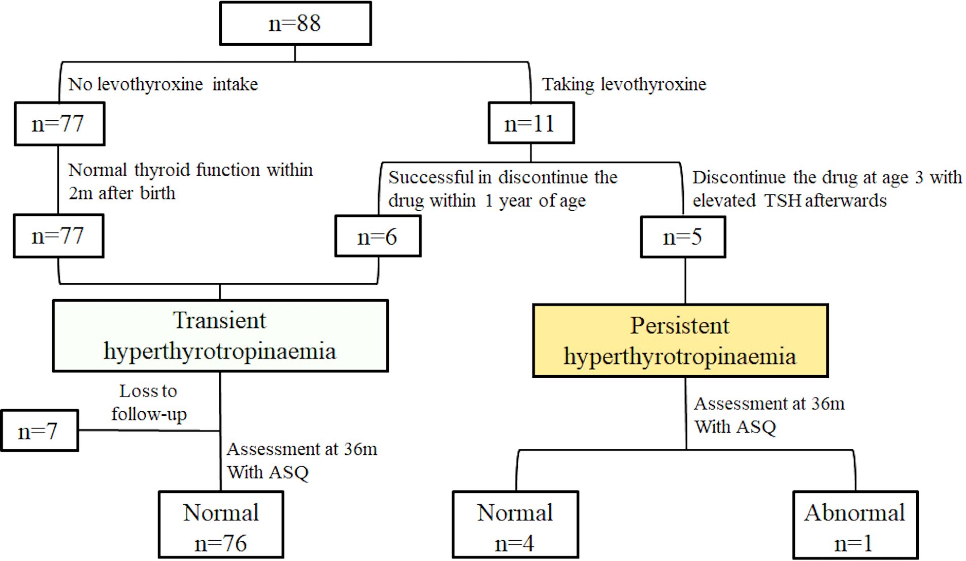 Flowchart showing outcomes of 88 patients, split into those taking levothyroxine (11) and those not (77). Patients without treatment achieved normal thyroid function. Among those treated, 6 discontinued within one year, considered transient hyperthyrotropinaemia, with 4 normal after assessment. Five patients, who stopped at age three with elevated TSH, had persistent hyperthyrotropinaemia; 1 was abnormal after assessment.