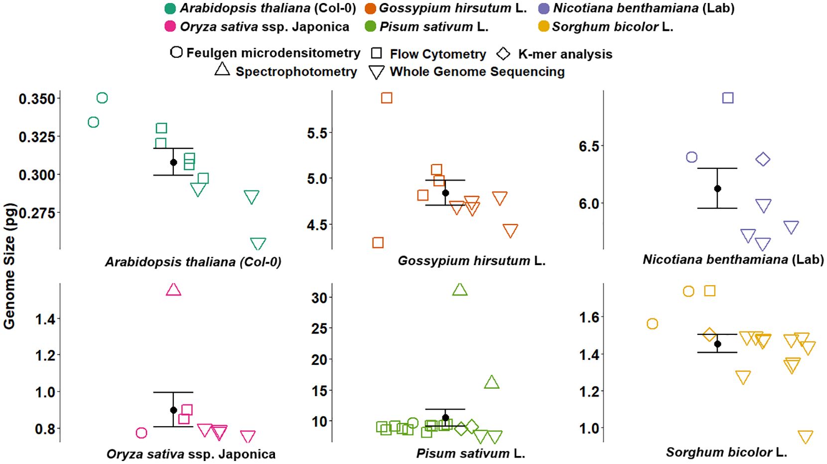 Scatter plot of genome sizes for six plant species: Arabidopsis thaliana, Gossypium hirsutum, Nicotiana benthamiana, Oryza sativa ssp. Japonica, Pisum sativum, and Sorghum bicolor. Each species is represented by different colors and symbols, indicating measurement methods: Feulgen microdensitometry, flow cytometry, K-mer analysis, spectrophotometry, and whole genome sequencing. Data points exhibit variations in genome sizes, depicted on separate panels for each species, with error bars indicating variability.