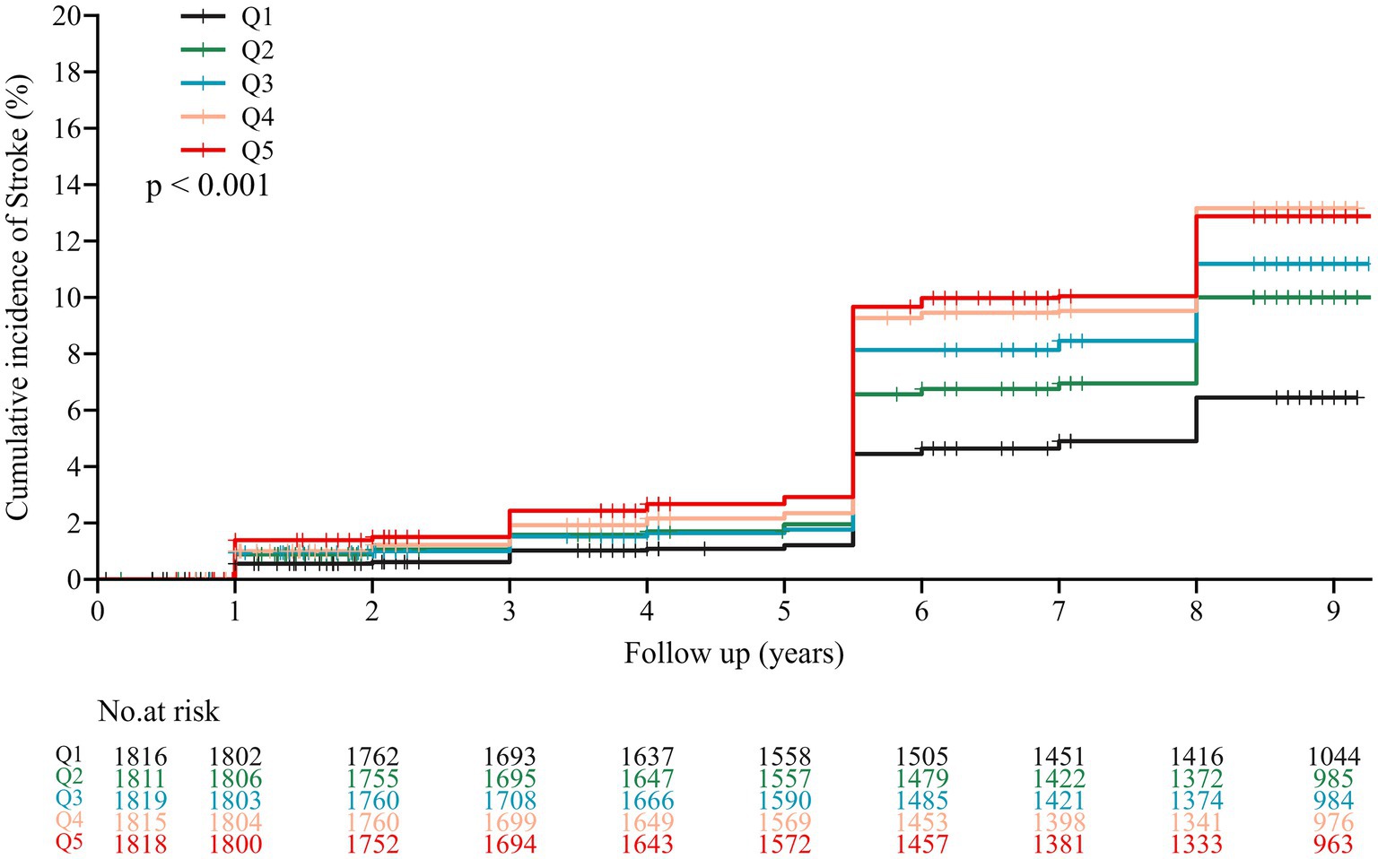 Kaplan-Meier plot showing cumulative incidence of stroke over nine years for five quartiles (Q1 to Q5). The red line (Q5) indicates the highest incidence, while the black line (Q1) shows the lowest. The p-value is less than 0.001, suggesting statistical significance. The table below provides the number of participants at risk at various follow-up years.