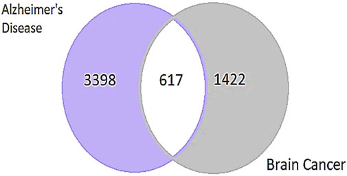 www.frontiersin.org