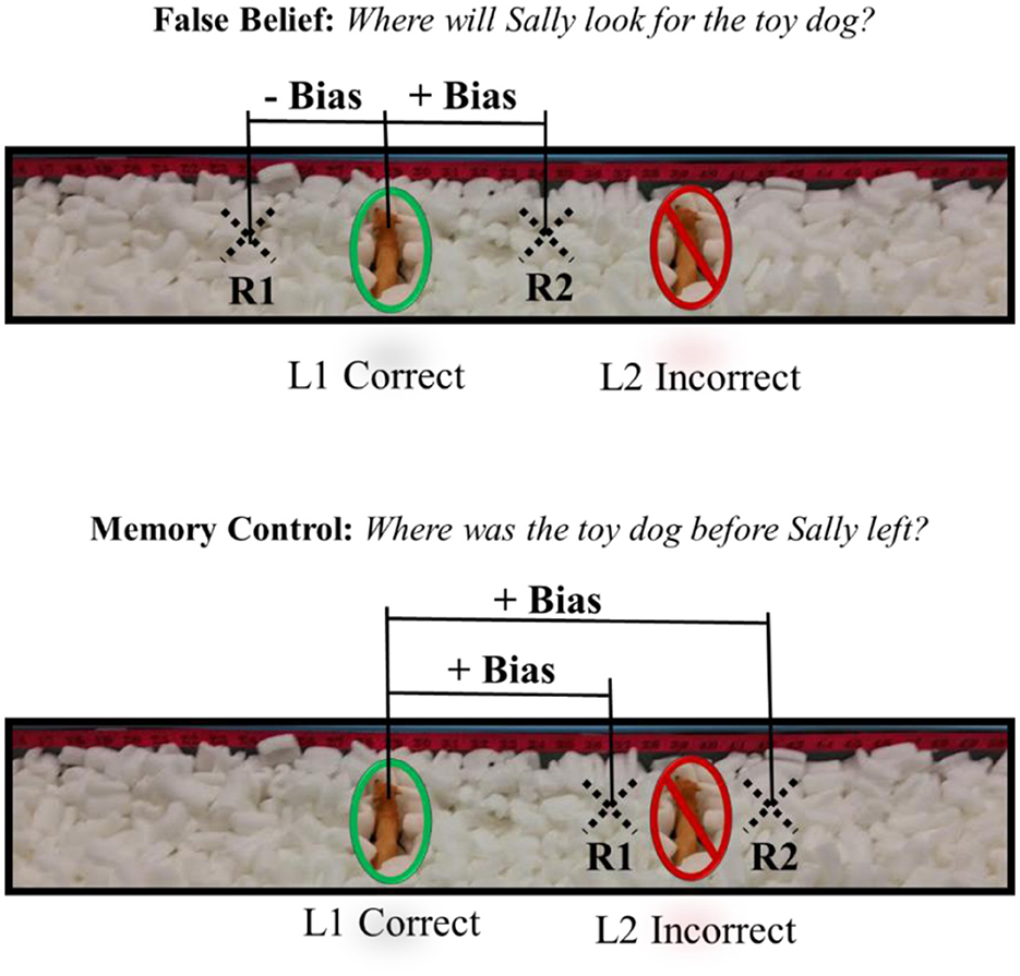 Two panels illustrate a scenario with containers filled with white pellets and a toy dog. The top panel, titled “False Belief,” shows a green oval around the toy dog in location R1, labeled L1 Correct, and a red X in location R2, labeled L2 Incorrect. It features “- Bias” over R1 and “+ Bias” over R2. The bottom panel, titled “Memory Control,” has the toy dog circled in green in R1 and a red X over R2. Both positions have “+ Bias.” The toy remains in R1, labeled L1 Correct, while R2 is L2 Incorrect.