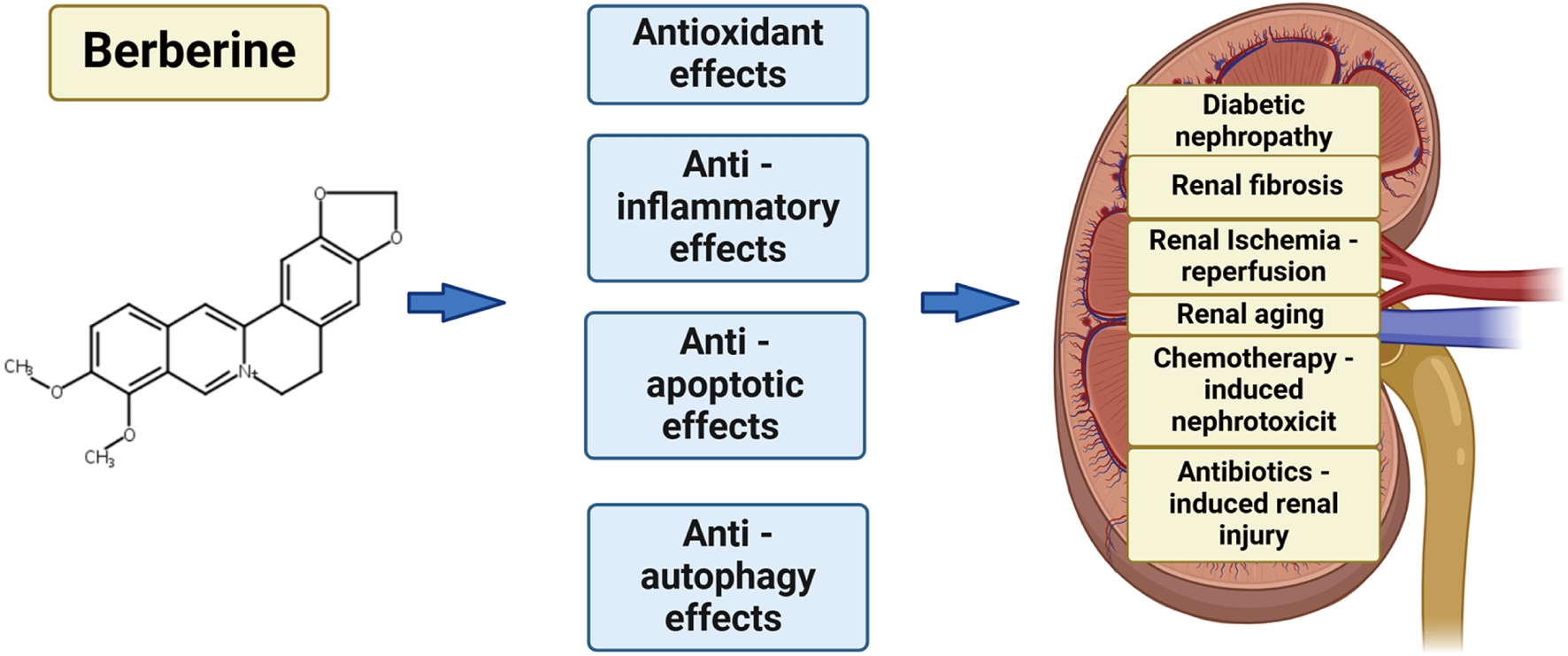 Graphical Abstract