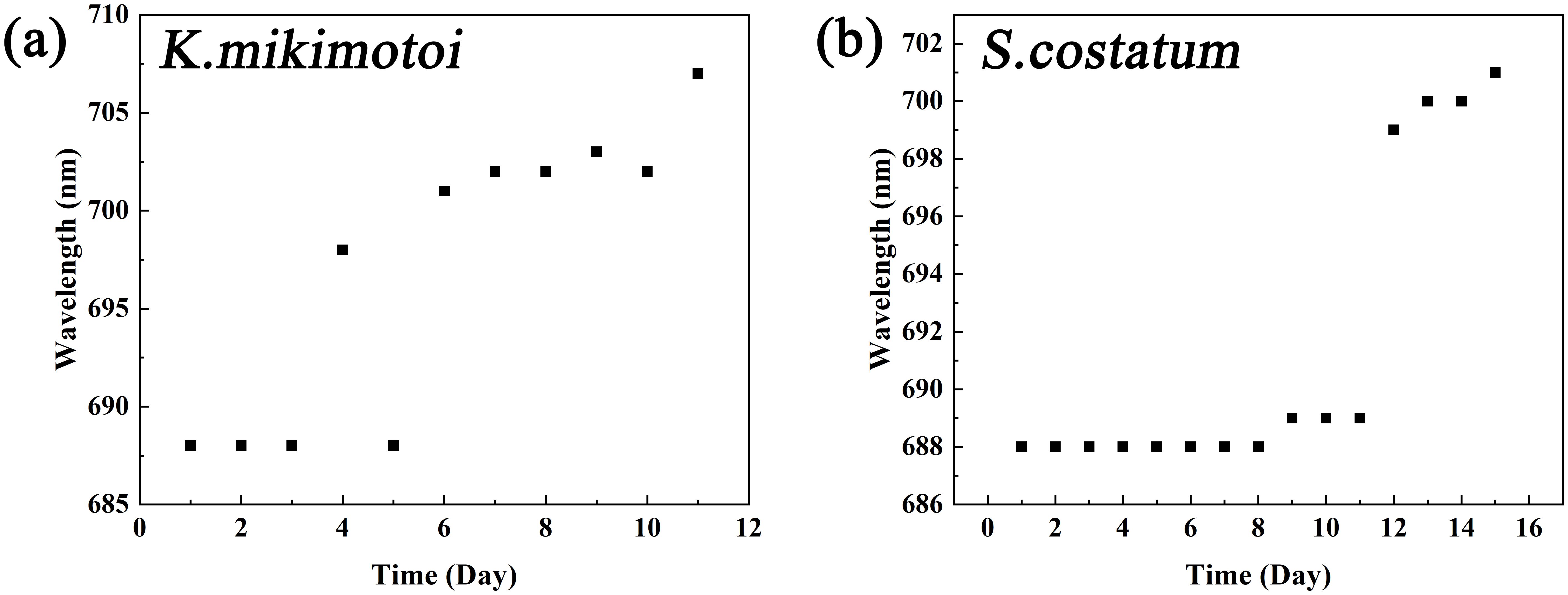 Two graphs titled (a) *K. mikimotoi* and (b) *S. costatum* show wavelength changes over time. Graph (a) displays a steady increase from 689 to 707 nanometers over ten days. Graph (b) shows a rise from 687 to 701 nanometers over sixteen days. Both use days on the x-axis and wavelength in nanometers on the y-axis.
