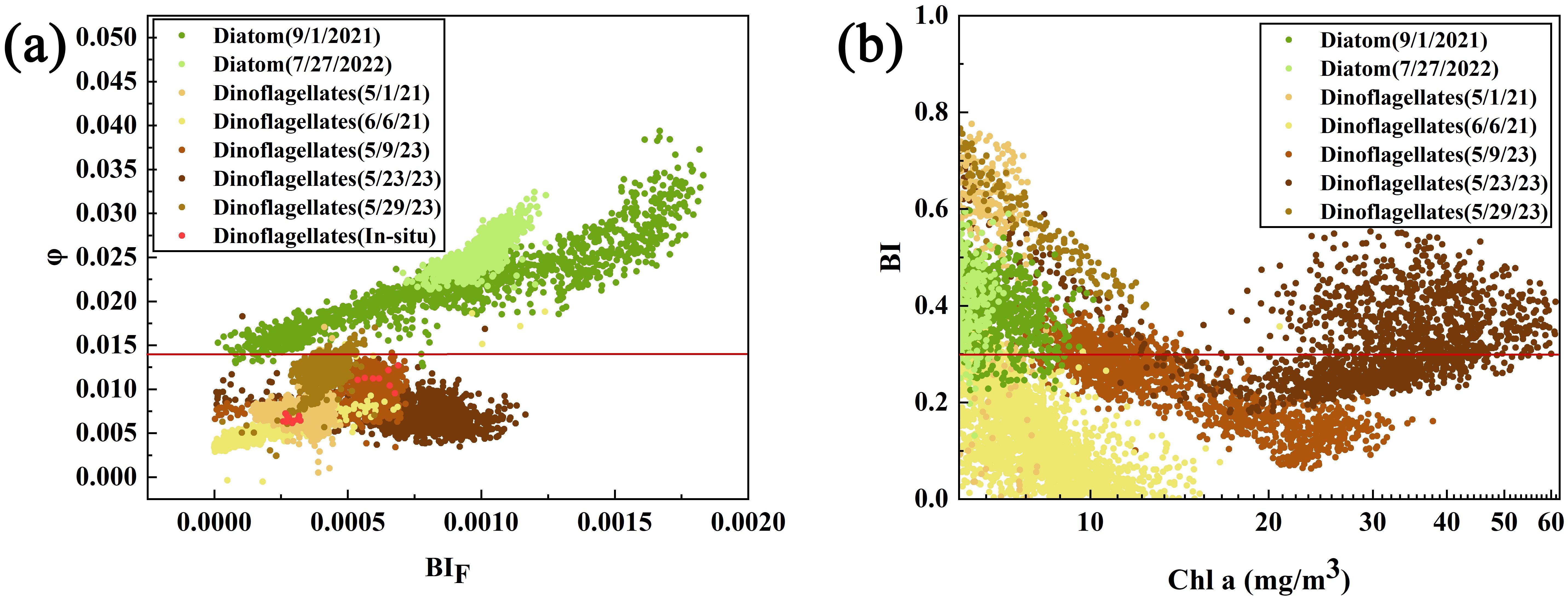 Scatter plots showing fluorescence parameters. Plot (a) depicts the relationship between phi (\( \phi \)) and BIF. Plot (b) shows BI versus Chl a concentration. Different dates and phytoplankton types, including diatoms and dinoflagellates, are color-coded. A red horizontal line indicates a specific threshold in each plot.