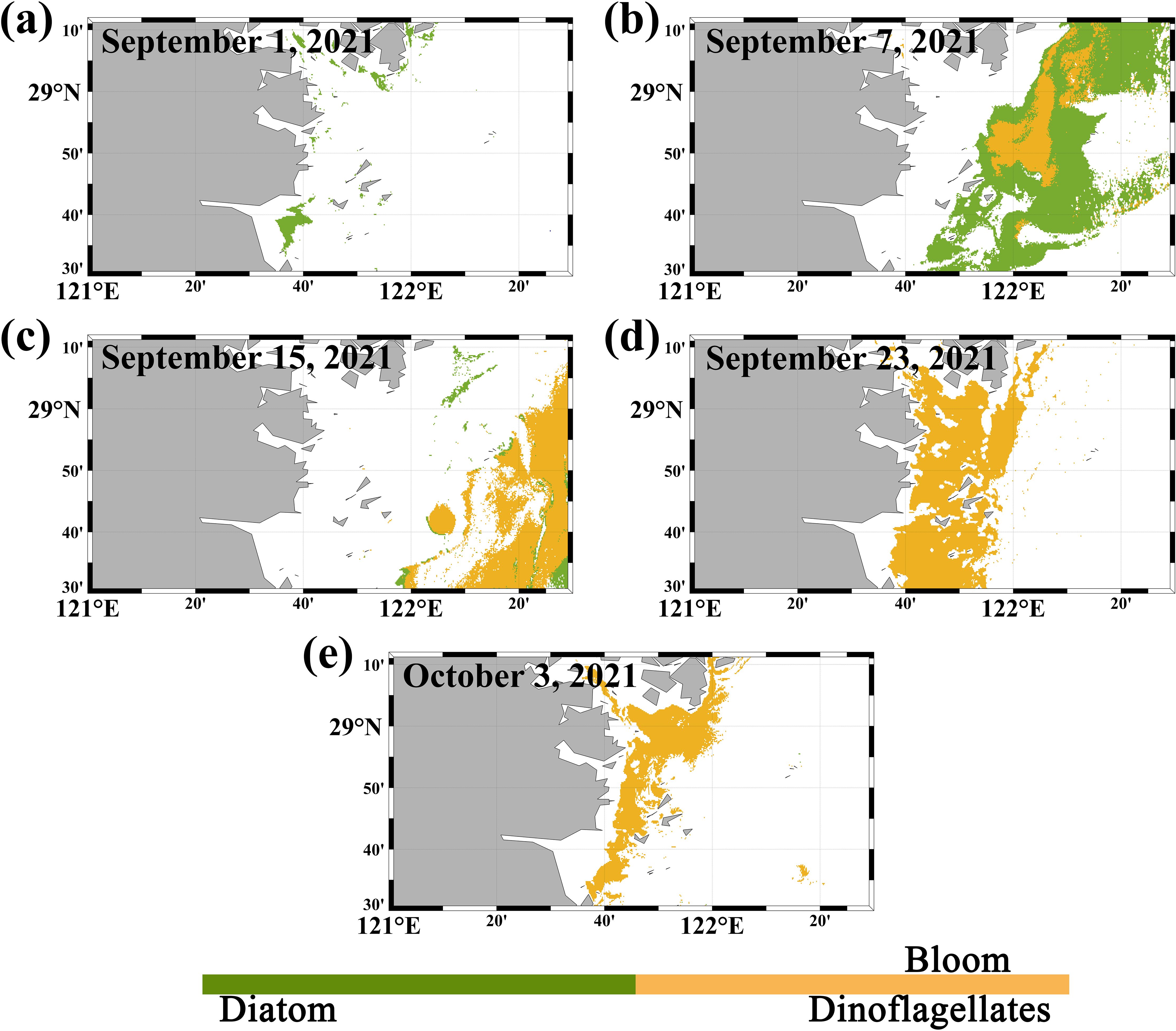 Maps show the distribution of diatom and dinoflagellate blooms along a coastal area on five dates in 2021: September 1, 7, 15, 23, and October 3. Diatoms are marked in green, and dinoflagellates in orange, showing changes in bloom composition over time.