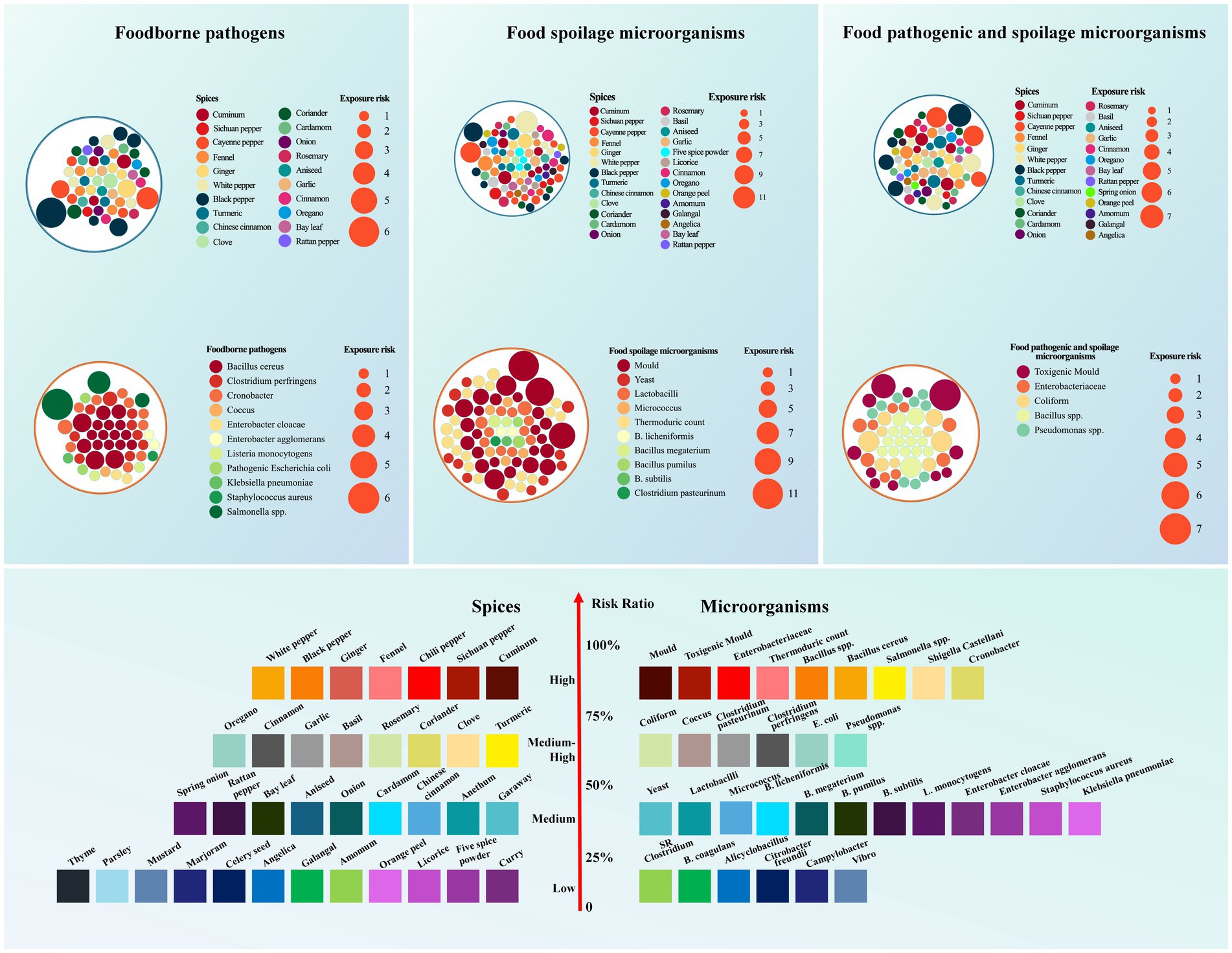 Three clustered bubble charts and a horizontal bar graph display data on pathogens and microorganisms linked to spices. Each chart categorizes foodborne pathogens, spoilage microorganisms, and combined pathogens/spoilage microorganisms by exposure risk, with specific spices identified. The bar graph ranks spices and microorganisms by risk ratio, divided into low, medium, medium-high, and high categories, with colors indicating risk levels.