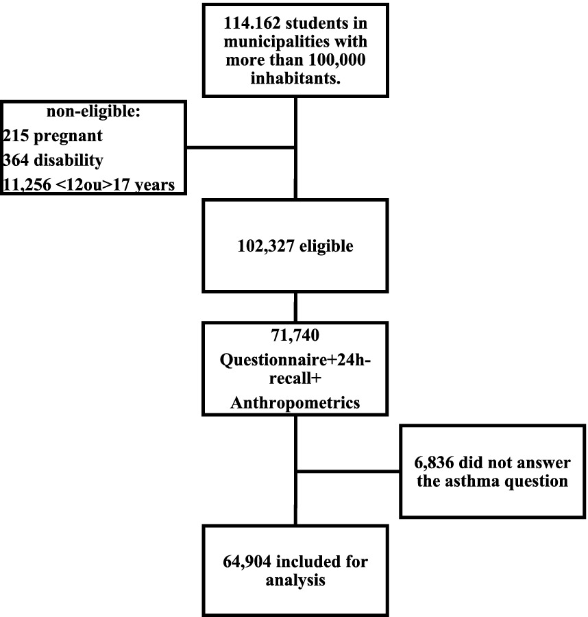 Flowchart of student eligibility for analysis. Starts with 114,162 students in large municipalities. Non-eligible: 215 pregnant, 364 with disabilities, 11,256 aged 12-17, leaving 102,327 eligible. After questionnaires and anthropometric data collection, 71,740 remained. Of these, 6,836 did not answer the asthma question, resulting in 64,904 included for analysis.