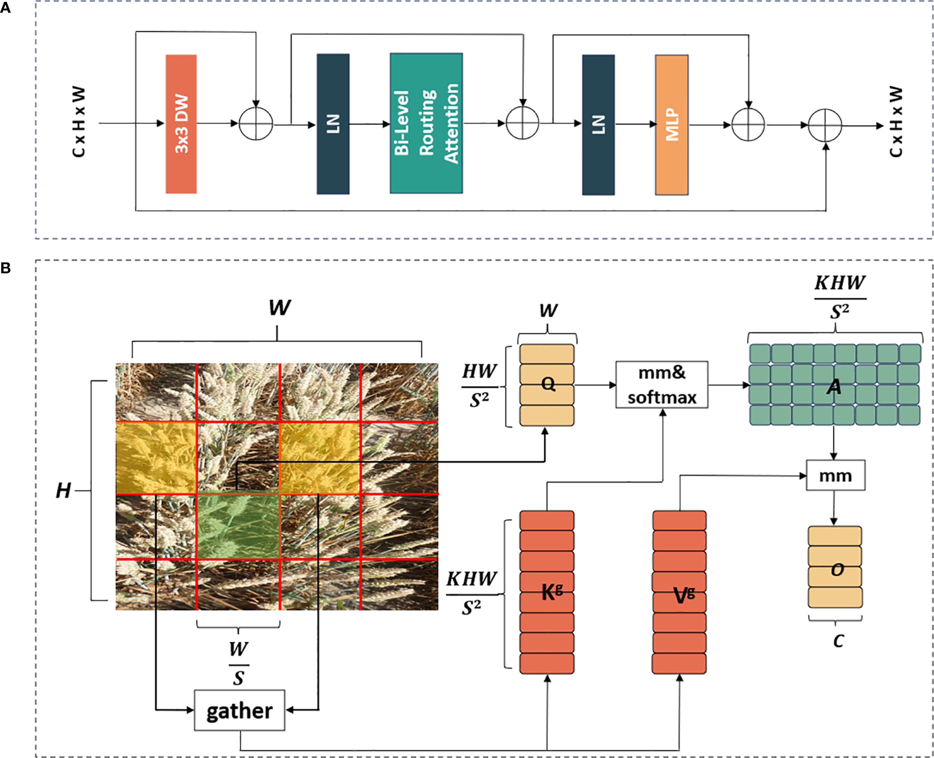 Diagram with two parts labeled A and B. Part A shows a neural network flow from C x H x W through a 3x3 DW block, Layer Normalization (LN), Bi-Level Routing Attention, followed by LN and MLP, outputting back to C x H x W. Part B depicts an image divided into red grid sections processed through a sequence labeled gather, resulting in calculations involving matrices labeled Q, K, V, A, and O, indicating attention mechanism steps involving matrix multiplication, softmax, and outputs in dimensions related to H, W, and S.