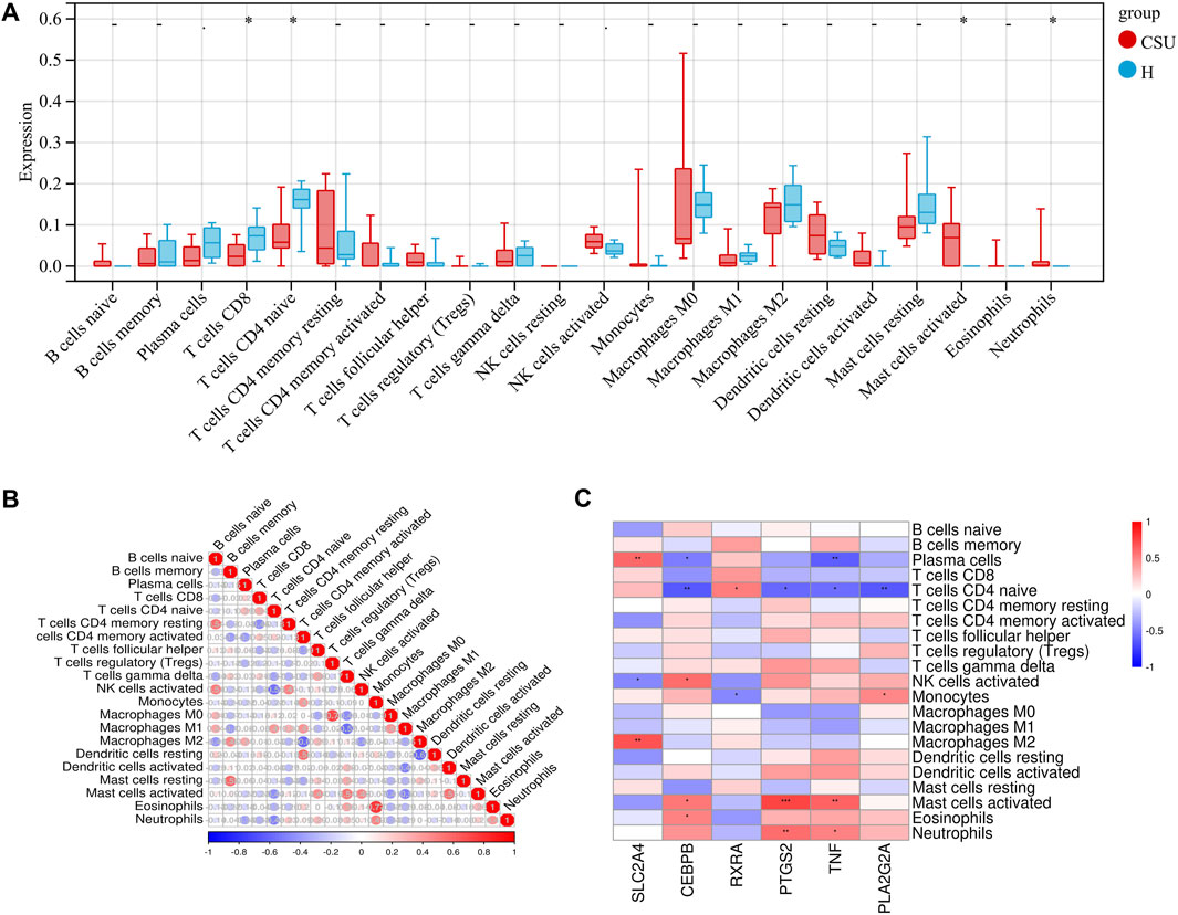 Panel A shows a box plot of immune cell type expression differences between CSU (red) and H (blue) groups. Panel B is a correlation matrix indicating relationships among immune cell types with varying intensity. Panel C displays a heatmap of gene expression across different cell types, with a color scale from blue (low) to red (high).