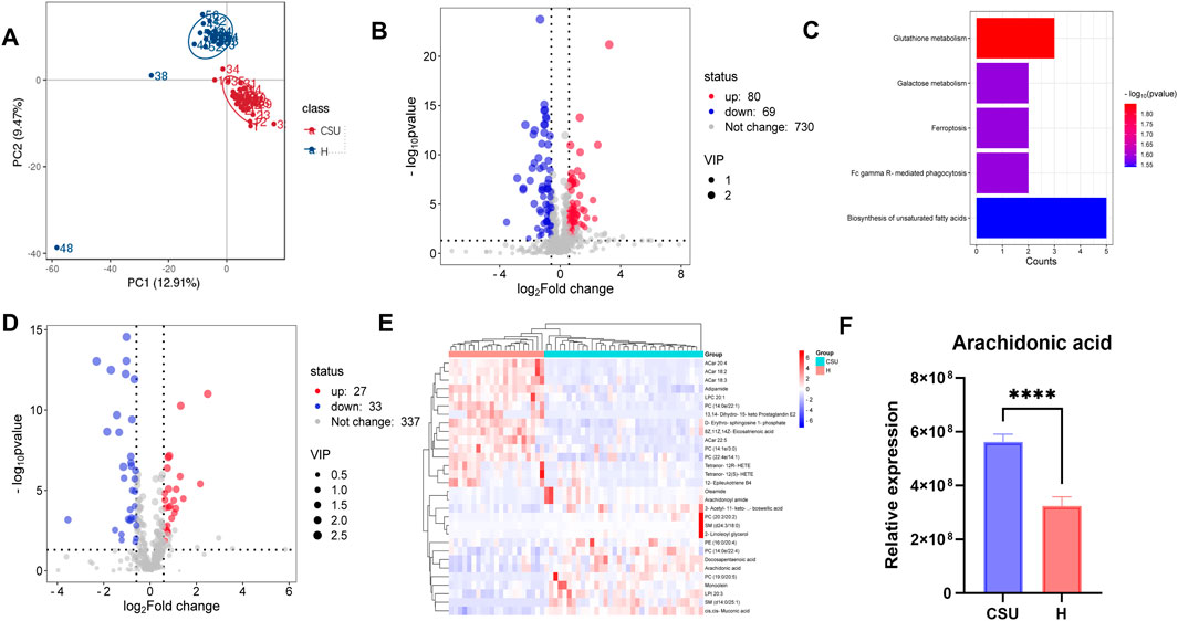 The image contains multiple panels of data visualizations. Panel A shows a PCA plot with two clusters labeled CSU and H. Panel B is a volcano plot with points indicating upregulated and downregulated genes based on log2 fold change. Panel C is a bar chart of metabolic pathways with colors representing p-values. Panel D is another volcano plot similar to Panel B, with different data points. Panel E displays a heatmap of various metabolites with two groups, CSU and H. Panel F is a bar graph comparing the relative expression of arachidonic acid between CSU and H, showing a significant difference.