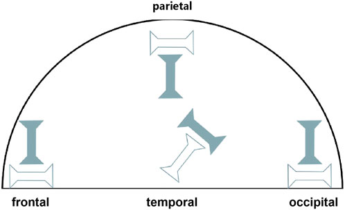Illustration of a brain outline divided into four sections: parietal, frontal, temporal, and occipital. Inside, there are three large, dark gray, vertically arranged I-shaped figures overlaid with smaller, lighter I-shapes that are horizontally oriented.