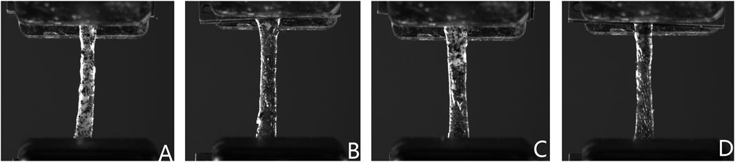 Four grayscale images labeled A to D show close-up views of a textured filament under uniform lighting, each with slightly different surface features.