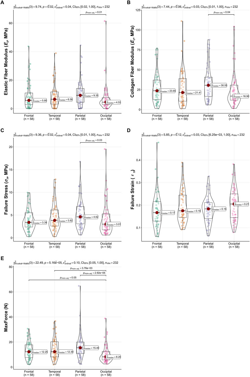 Violin plots (A-E) depict mechanical properties of brain regions: frontal, temporal, parietal, and occipital. Graphs include elastic fiber modulus, collagen fiber modulus, failure stress, failure strain, and max force. Statistical values and medians highlighted.
