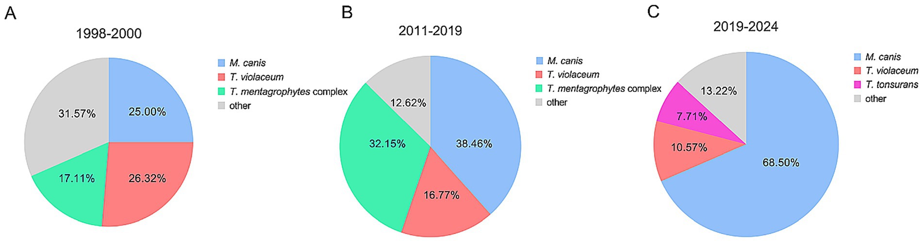 Three pie charts labeled A, B, and C show the distribution of fungal species over different periods: A) 1998-2000, with 31.57% other, 25.00% M. canis, 26.32% T. violaceum, and 17.11% T. mentagrophytes complex. B) 2011-2019, with 12.62% other, 38.46% M. canis, 16.77% T. violaceum, and 32.15% T. mentagrophytes complex.C) 2019-2024, with 13.22% other, 68.50% M. canis, 10.57% T. violaceum, and 7.71% T. tonsurans.