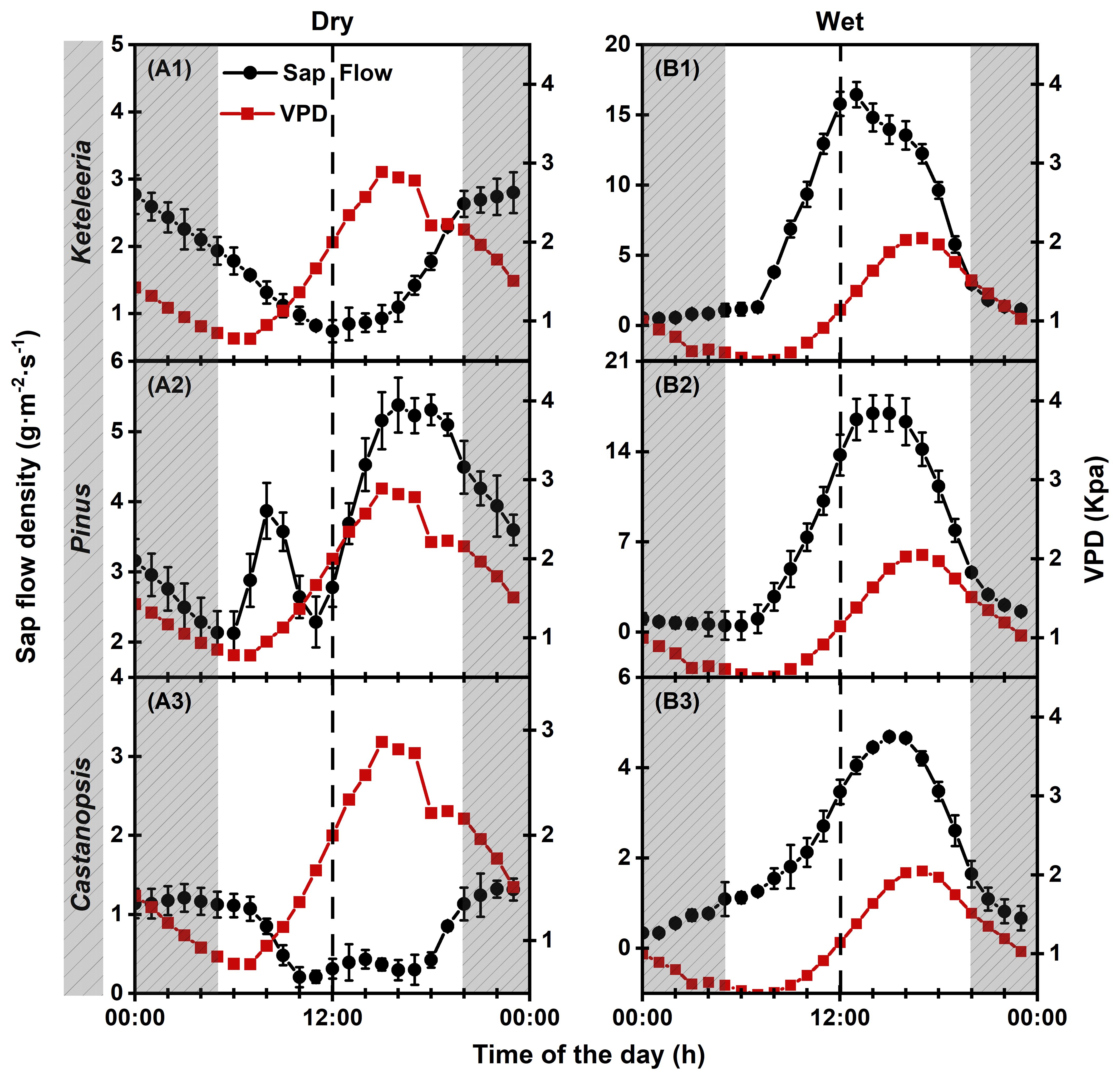 Six-panel graph illustrating sap flow density and vapor pressure deficit (VPD) for three trees: Keteleeria, Pinus, and Castanopsis under dry (left) and wet (right) conditions. Each tree's sap flow (black circles) and VPD (red squares) are plotted over a 24-hour period, showing higher sap flow and VPD during midday. Gray shading indicates nighttime. Panels A1-A3 represent the dry condition, while B1-B3 represent the wet condition, showing generally higher sap flow in wet conditions.