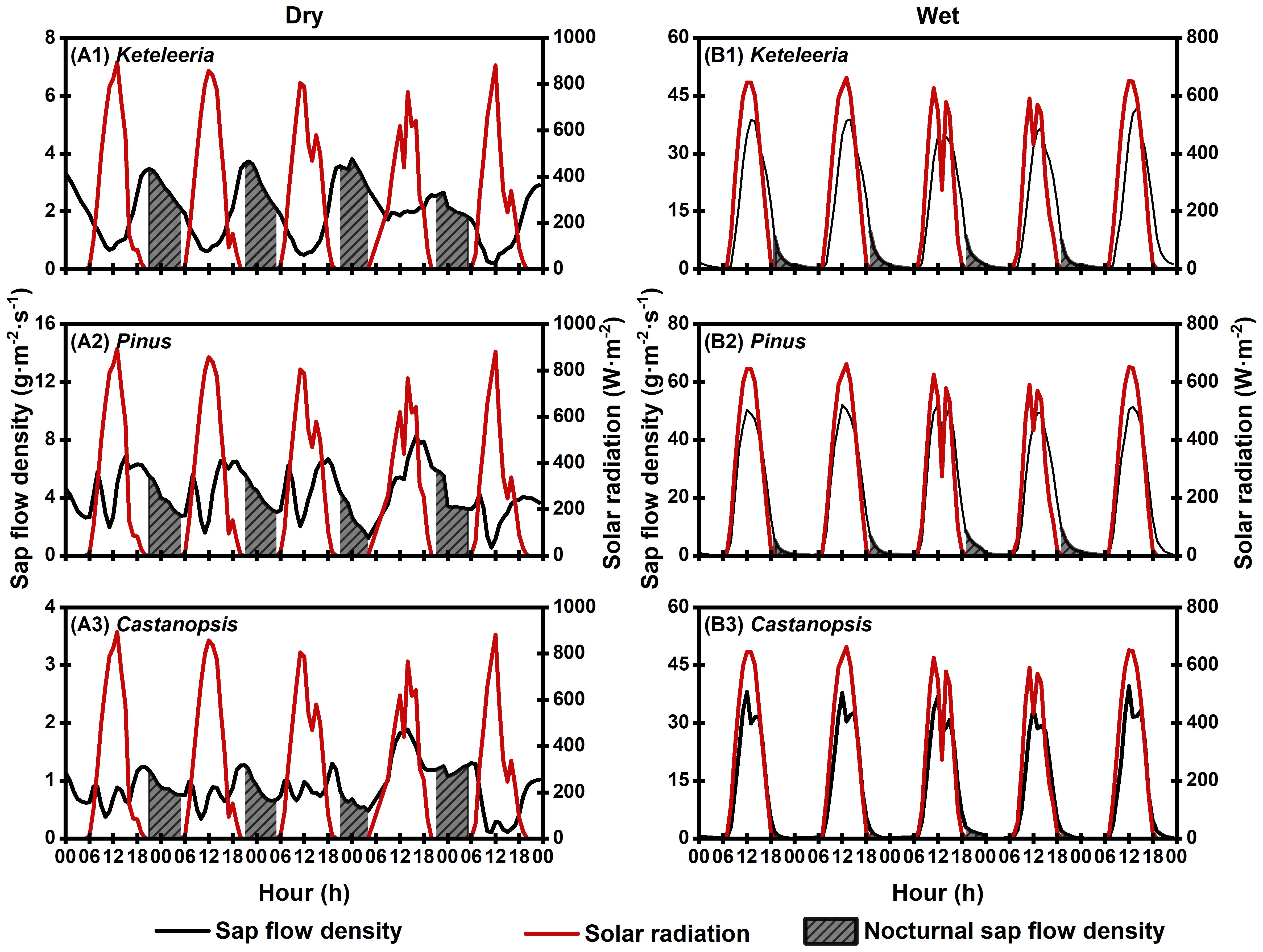 Graphs compare sap flow density and solar radiation in three tree species—Keteleeria, Pinus, and Castanopsis—under dry and wet conditions. Black lines show sap flow density, red lines show solar radiation, and shaded areas represent nocturnal sap flow density. The x-axis shows hours, and both y-axes show sap flow density (left) and solar radiation (right). In dry conditions, patterns show more variation compared to wet conditions, which have distinct peaks in solar radiation and sap flow.