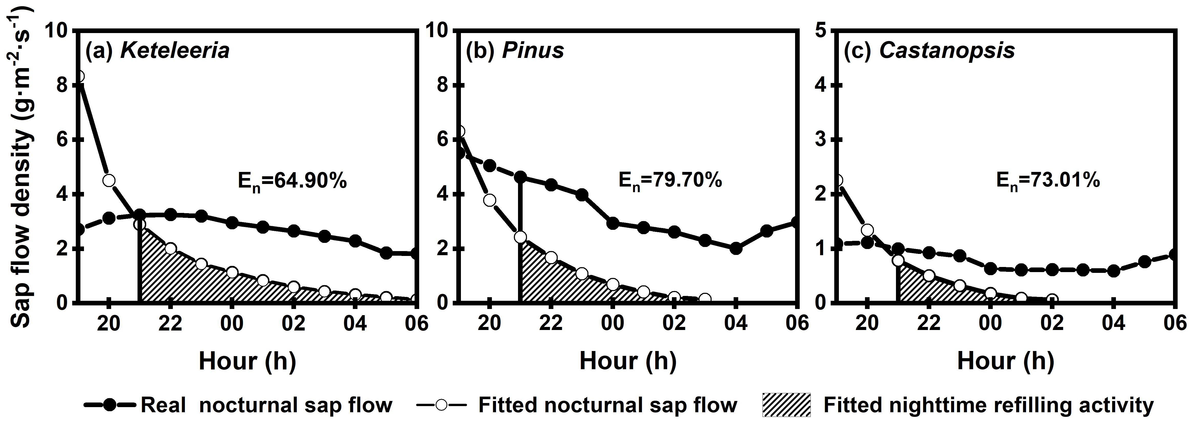 Three graphs show sap flow density against time for Keteleeria, Pinus, and Castanopsis. Each graph displays real nocturnal sap flow, fitted nocturnal sap flow, and fitted nighttime refilling activity. Efficiency percentages are 64.90% for Keteleeria, 79.70% for Pinus, and 73.01% for Castanopsis.