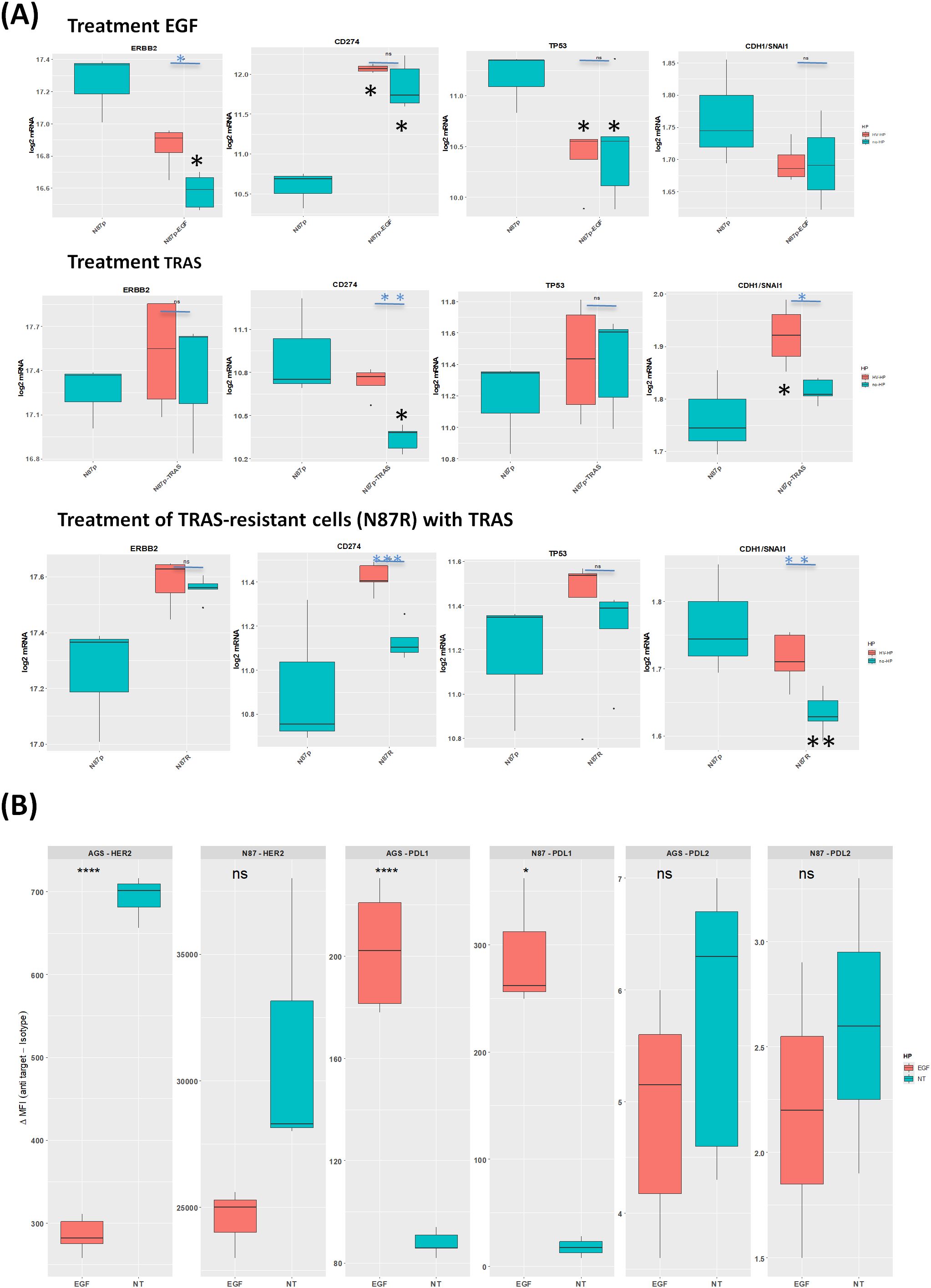 Two sets of box and whisker plots display gene expression data.(A) Shows three treatments: EGF, TRAS, and TRAS-resistant cells with TRAS, across four genes (ERBB2,CD274,TP53,CDH1/SNAI1). Differences in expression levels are indicated by asterisks.(B) Illustrates gene expression fo rAGS and N87 cell lines under EGF and NT conditions forH ER2, PDL1, and PDL2, with significance marked