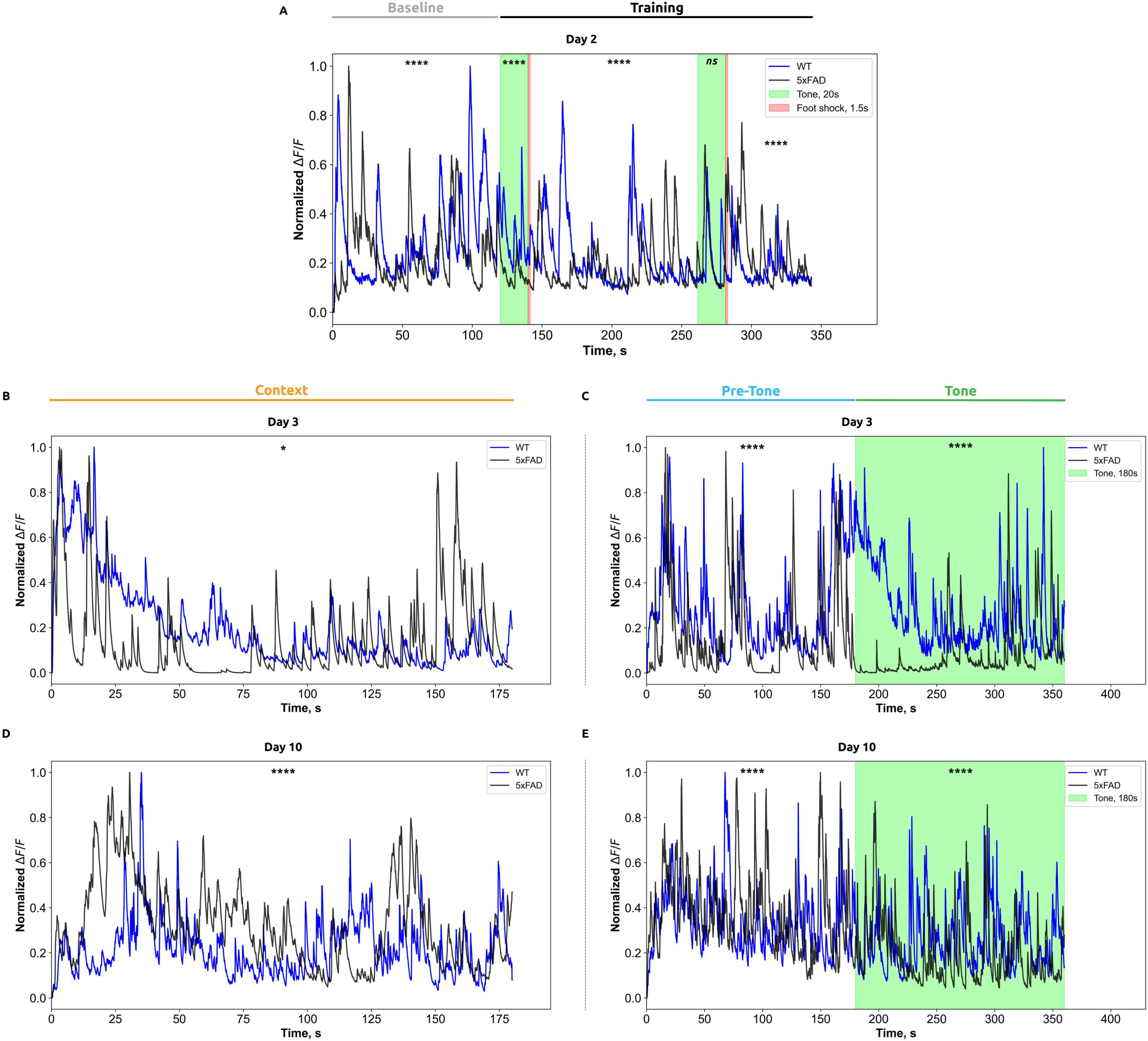 Five graphs show normalized fluorescence (?F/F) over time for wild type (WT) and 5xFAD subjects. Graph A (Day 2) includes baseline and training periods. Graph B (Day 3) focuses on context. Graph C (Day 3) covers pre-tone and tone phases. Graphs D and E depict Day 10 with context and tone phases, respectively. Statistical significance is marked by asterisks, with various highlighted regions indicating specific stimuli, such as tones and foot shocks.