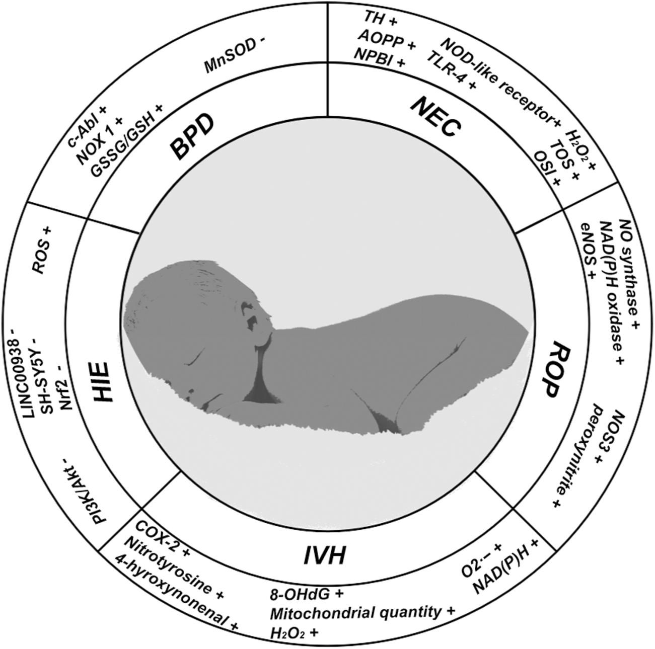 Illustration of a sleeping newborn surrounded by a circular chart. The chart is divided into sections labeled BPD, NEC, ROP, HIE, and IVH, each containing specific medical terms and markers related to oxidative stress, such as c-Abl, MnSOD, TH, and more. Each section lists biological markers, either positive or negative, indicating their association with the respective conditions.