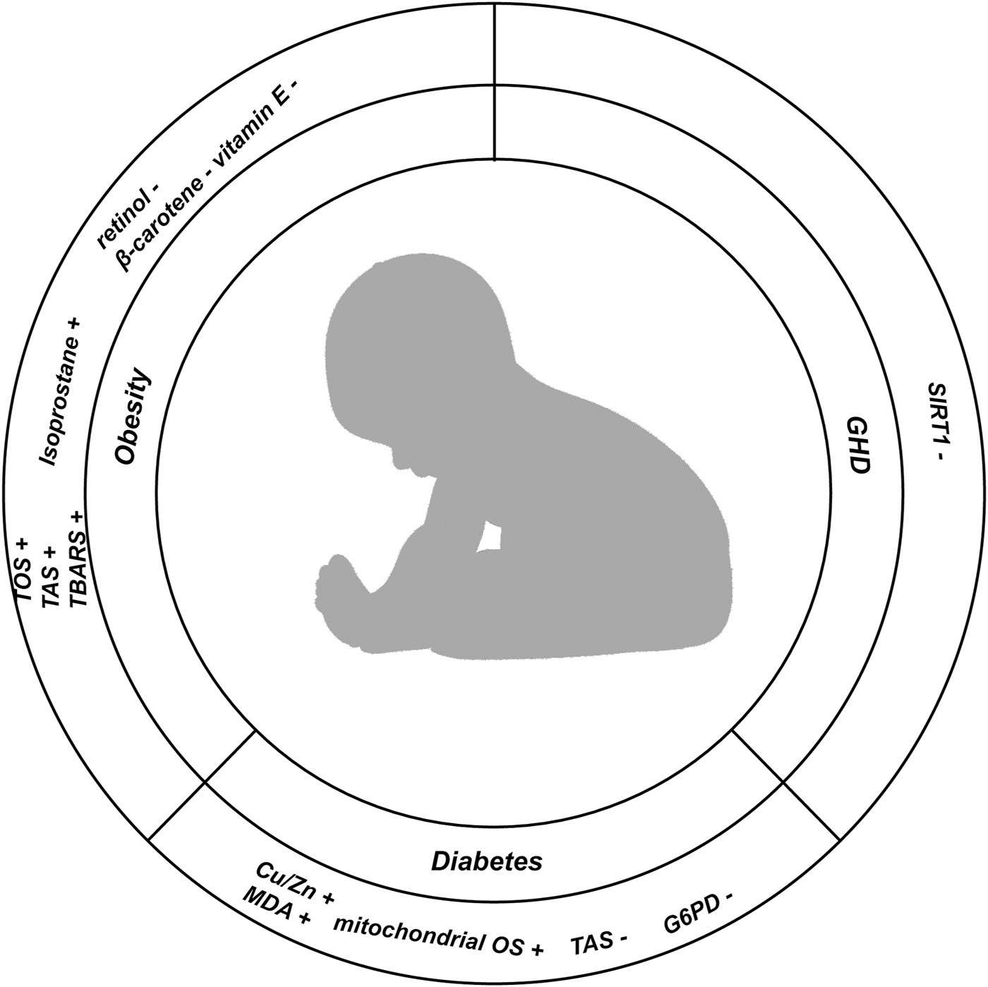 Silhouette of a baby inside concentric circles labeled with terms related to health and nutrition. Outer circles mention "Obesity," "Diabetes," "GHD," and "SIRT1." Inner labels include "Isoprostane," "TOS," "TAS," "Cu/Zn," and "mitochondrial OS."