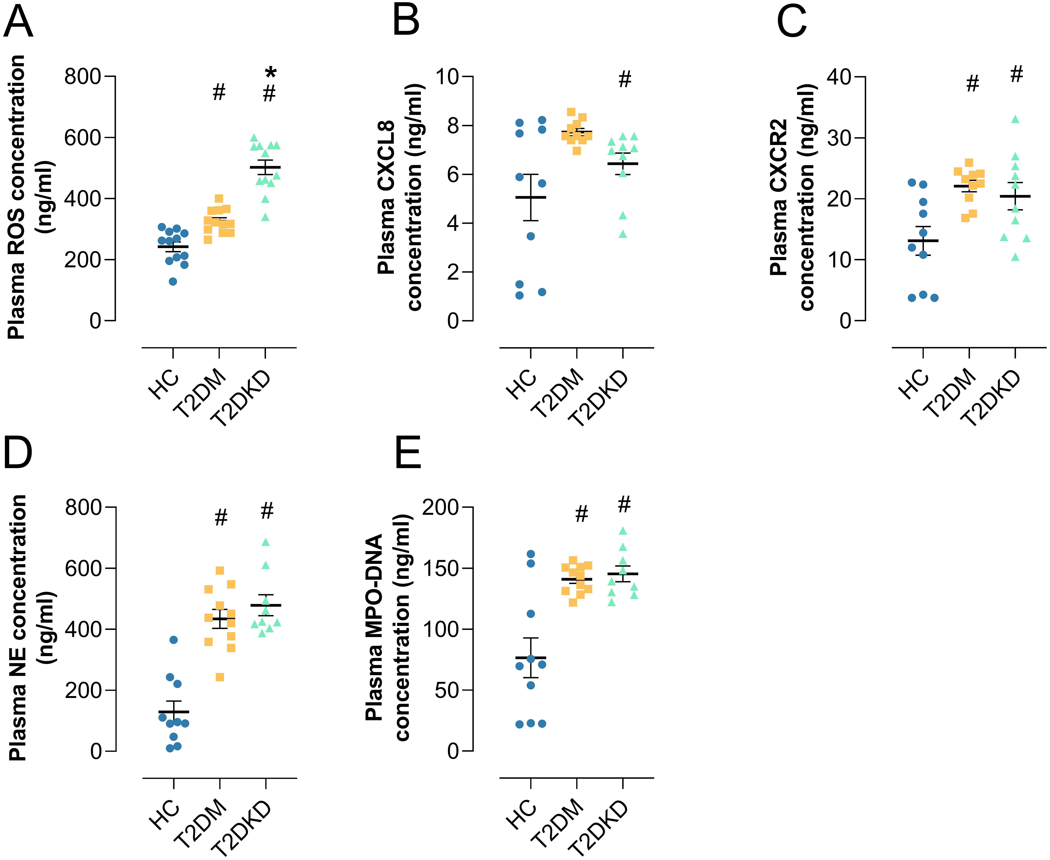 Five scatter plots labeled A to E show plasma concentrations of various markers in HC (healthy controls), T2DM (type 2 diabetes mellitus), and T2DKD (type 2 diabetic kidney disease) groups. Each plot displays individual data points with mean and standard error. Panel A shows ROS levels, B shows CXCL8, C shows CXCR2, D shows NE, and E shows MPO-DNA. The plots indicate higher concentrations in the T2DM and T2DKD groups compared to HC, with significant differences marked by symbols.