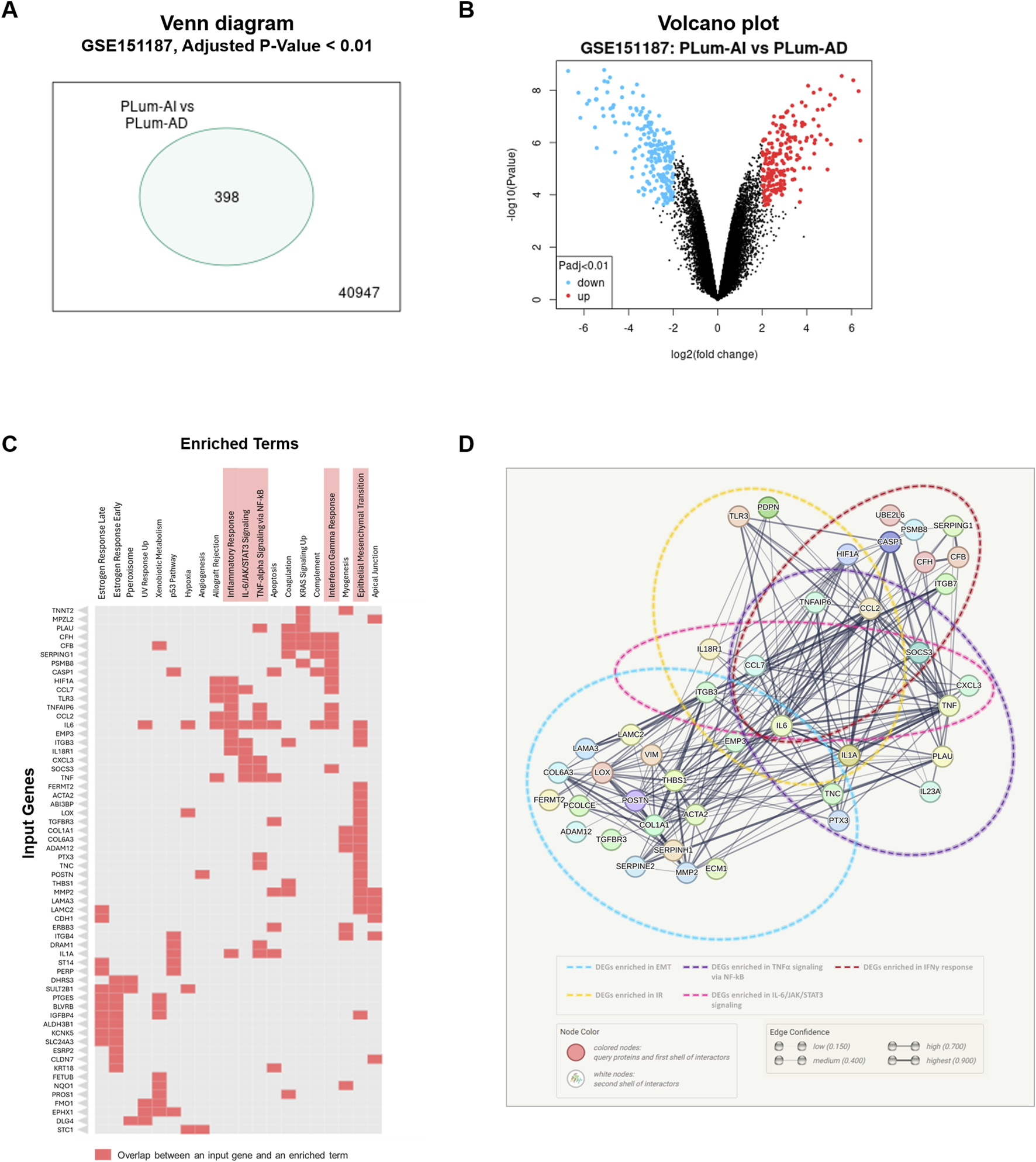 Panel A shows a Venn diagram with 398 overlapping and 40,947 non-overlapping elements for PLum-AI vs. PLum-AD. Panel B presents a volcano plot comparing PLum-AI to PLum-AD, highlighting upregulated and downregulated genes with adjusted p-values below 0.01. Panel C displays a heatmap of enriched terms with input gene overlap, indicating significant gene enrichment. Panel D illustrates a network diagram of gene interactions, with color-coded nodes and edges representing different enrichment pathways and edge confidence levels.