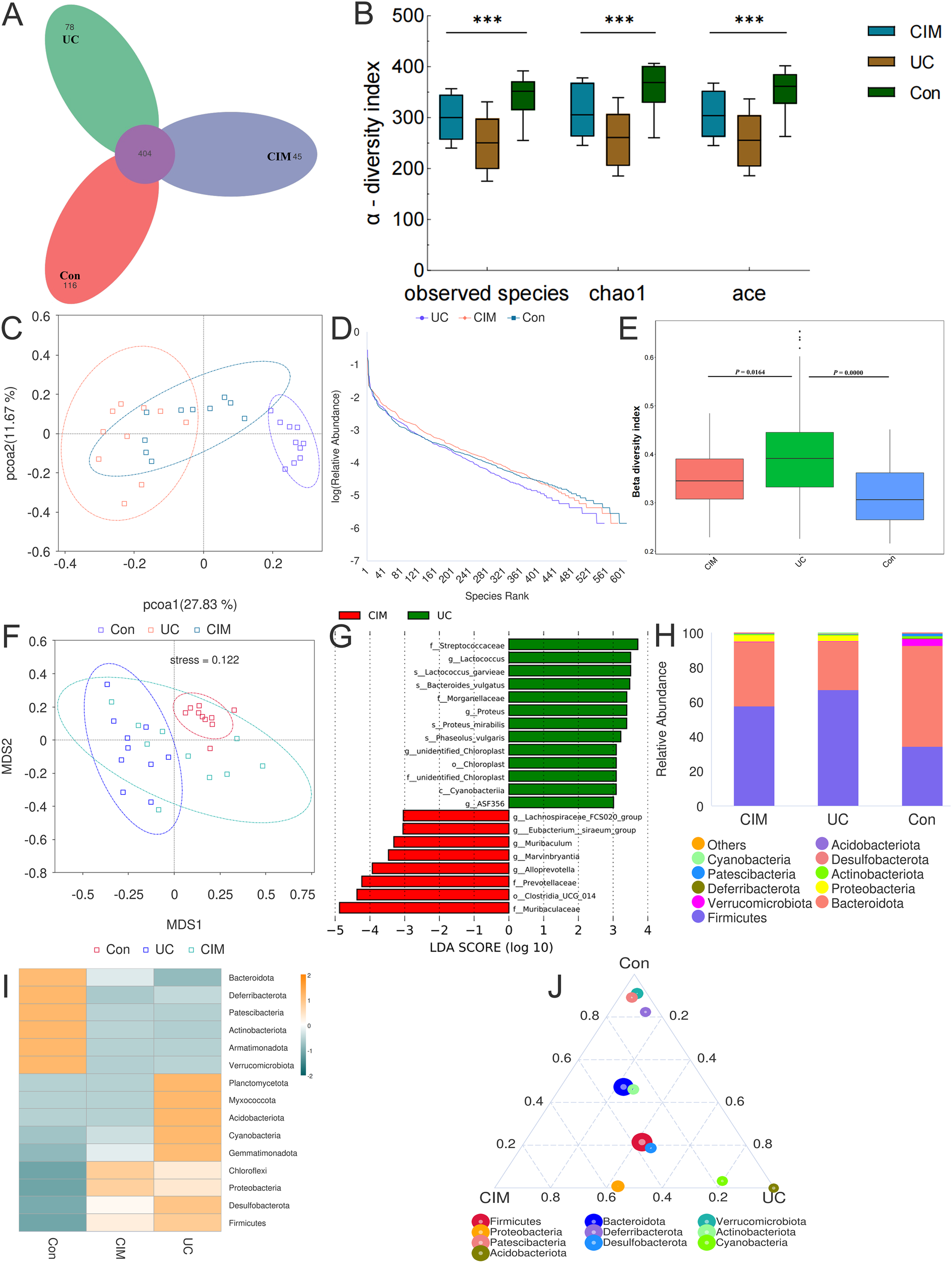A collection of scientific data visualizations including: A) A Venn diagram showing the overlap of species among CIM, UC, and Con groups. B) Box plots depicting alpha diversity indexes (observed species, chao1, ace) for CIM, UC, and Con groups with significant differences noted. C) PCoA plot illustrating species distribution among the groups. D) Rank abundance curve. E) Box plots of beta diversity index with significant comparisons. F) MDS plot showing stress values. G) LDA score bar graph highlighting key bacterial taxa. H) Stacked bar chart of relative abundance of bacterial phyla. I) Heatmap comparing bacterial phyla across groups. J) Ternary plot showing microbiome composition differences.