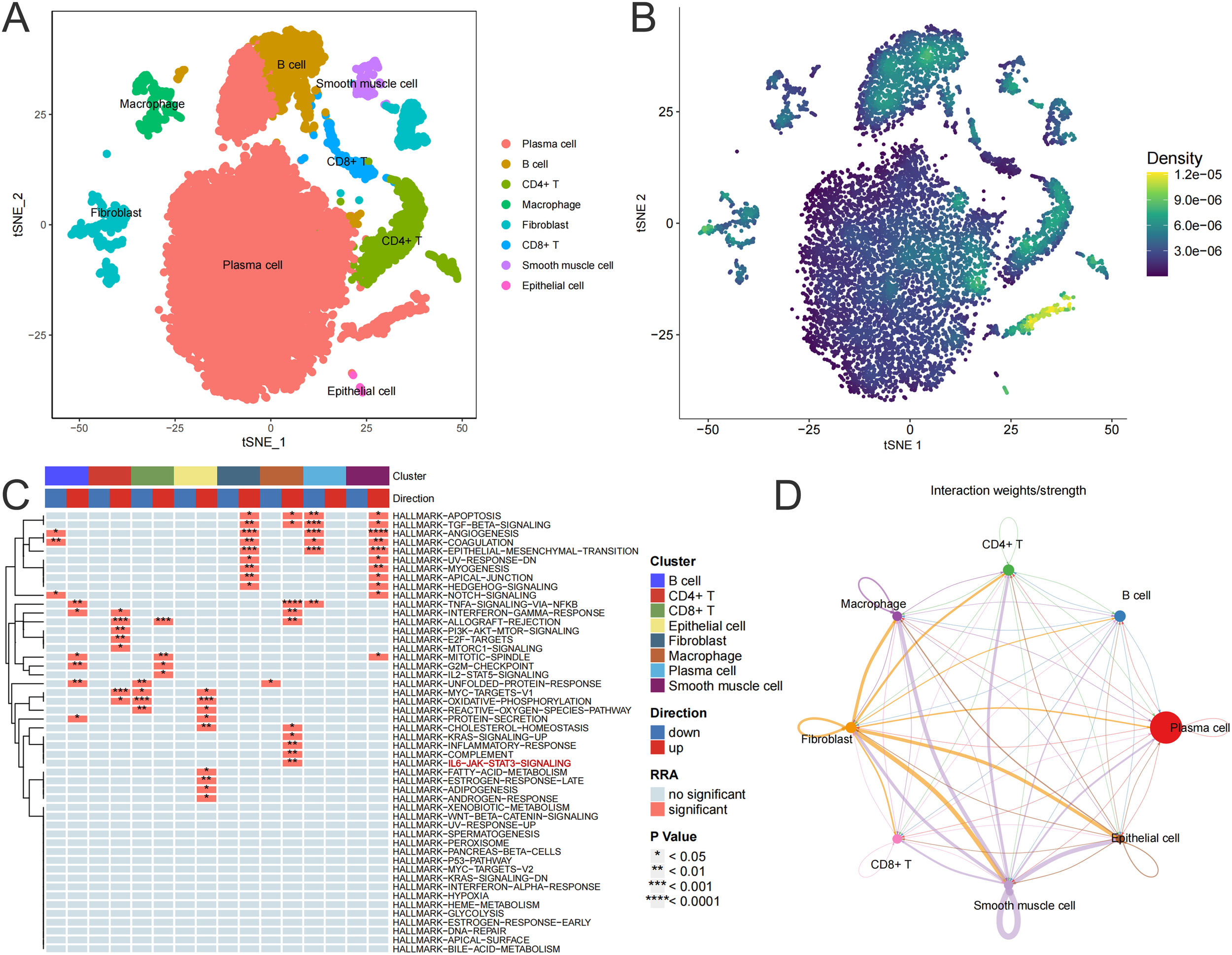Panel A shows a t-SNE plot with colored clusters representing different cell types: plasma cell, B cell, CD4+ T, CD8+ T, macrophage, fibroblast, smooth muscle cell, and epithelial cell. Panel B displays a density plot of the same data, with a color gradient indicating density levels. Panel C presents a heatmap illustrating hallmark pathways, clusters, direction of change, and significance. Panel D is a network diagram depicting interaction strengths among the cell types.