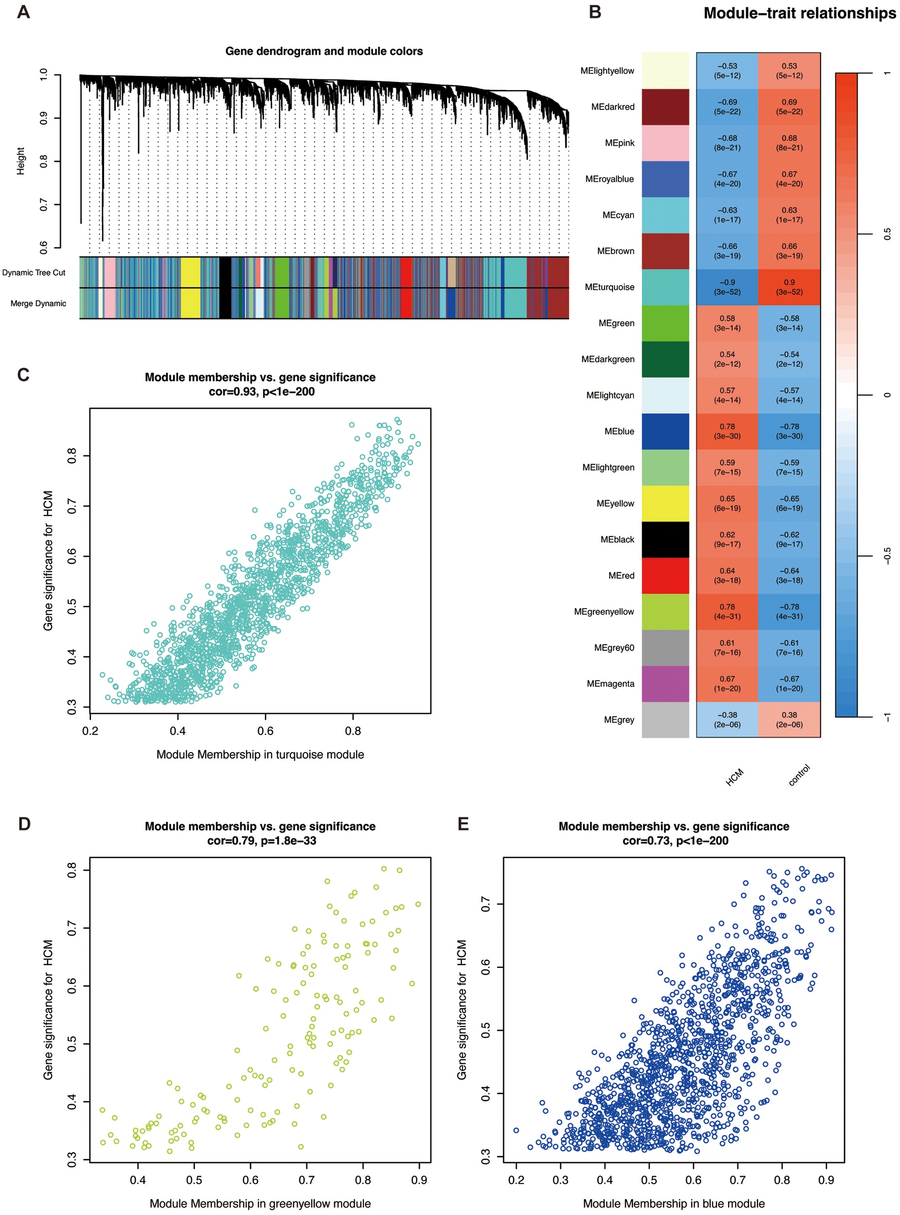 Panel A displays a gene dendrogram with modules color-coded. Panel B shows module-trait relationships using a heatmap with values ranging from minus one to one. Panels C, D, and E present scatter plots of module membership versus gene significance for turquoise, greenyellow, and blue modules, respectively, with correlation coefficients of 0.93, 0.79, and 0.73.