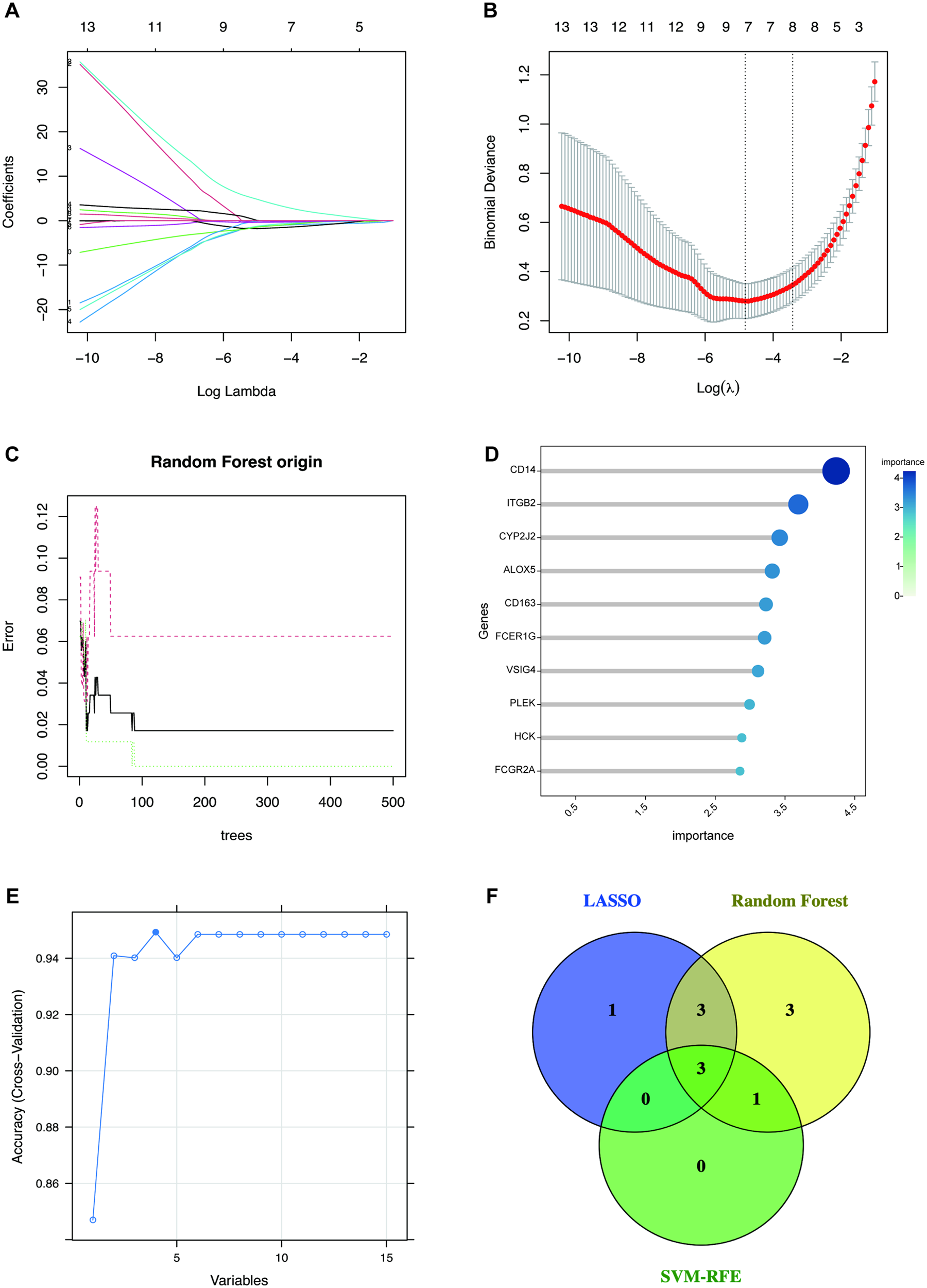 Panel A shows a graph of coefficients against log lambda, indicating LASSO regression results. Panel B presents binomial deviance versus log lambda, showing model fit. Panel C illustrates error rates versus the number of trees for a random forest model. Panel D features a bar chart of gene importance scores, depicting varying significance levels. Panel E is a line plot of cross-validation accuracy against the number of variables, showing an increase in accuracy. Panel F displays a Venn diagram comparing the overlap in variable selection across LASSO, Random Forest, and SVM-RFE methods.