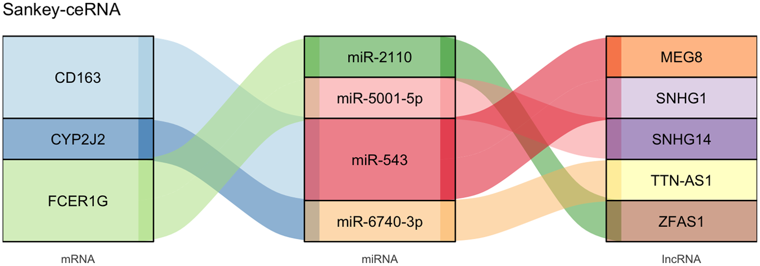 Sankey diagram titled \"Sankey-ceRNA\" showing interactions between mRNA, miRNA, and lncRNA. mRNA nodes: CD163, CYP2J2, FCER1G. miRNA nodes: miR-2110, miR-5001-5p, miR-543, miR-6740-3p. lncRNA nodes: MEG8, SNHG1, SNHG14, TTN-AS1, ZFAS1. Colored flows indicate the relationships between these components.