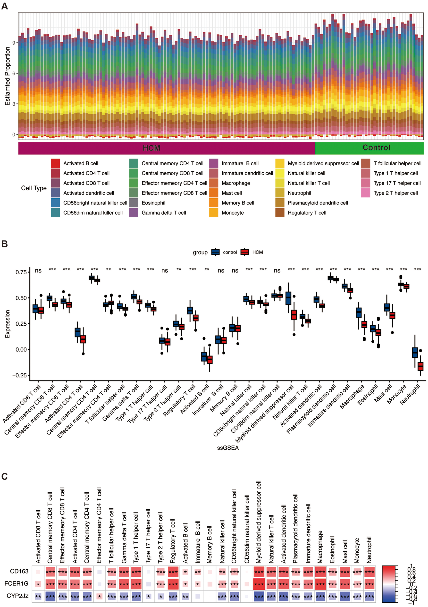 Panel A shows a stacked bar graph comparing cell type proportions between HCM and control groups, featuring a legend of 27 cell types. Panel B presents a box plot of expression levels for these cell types, with significant differences indicated by asterisks. Panel C displays a heatmap of CD163, FCER1G, and CYP2J2 genes across cell types, highlighting expression differences.