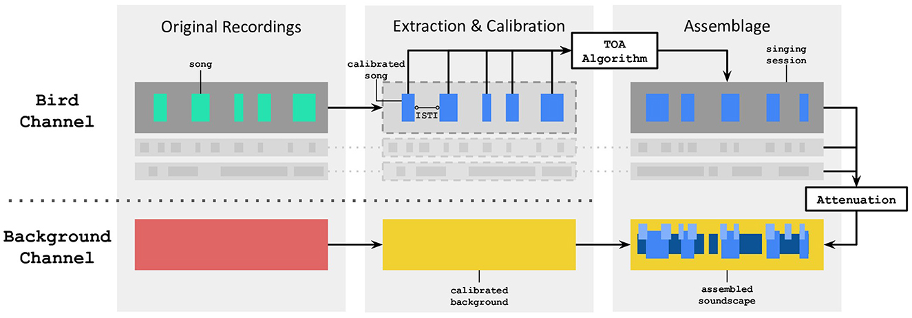 Flowchart illustrating three stages: Original Recordings, Extraction & Calibration, and Assemblage. The Bird Channel shows a song being calibrated and processed through a TOA Algorithm, ending in a singing session. The Background Channel involves calibration and results in an assembled soundscape, with attenuation applied.