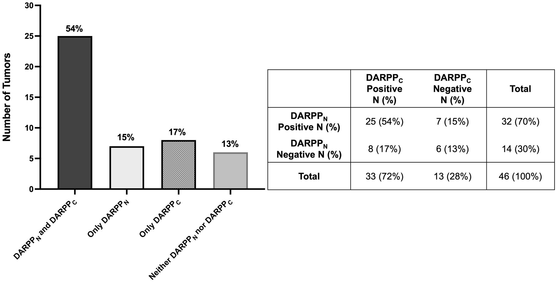 Bar graph and table showing tumor numbers with DARPP expression levels. The graph depicts four categories: “DARPPN and DARPPc” at 54%, “Only DARPPN” at 15%, “Only DARPPc” at 17%, and “Neither” at 13%. The table provides detailed numbers and percentages for positive and negative expressions, totaling 46 tumors.