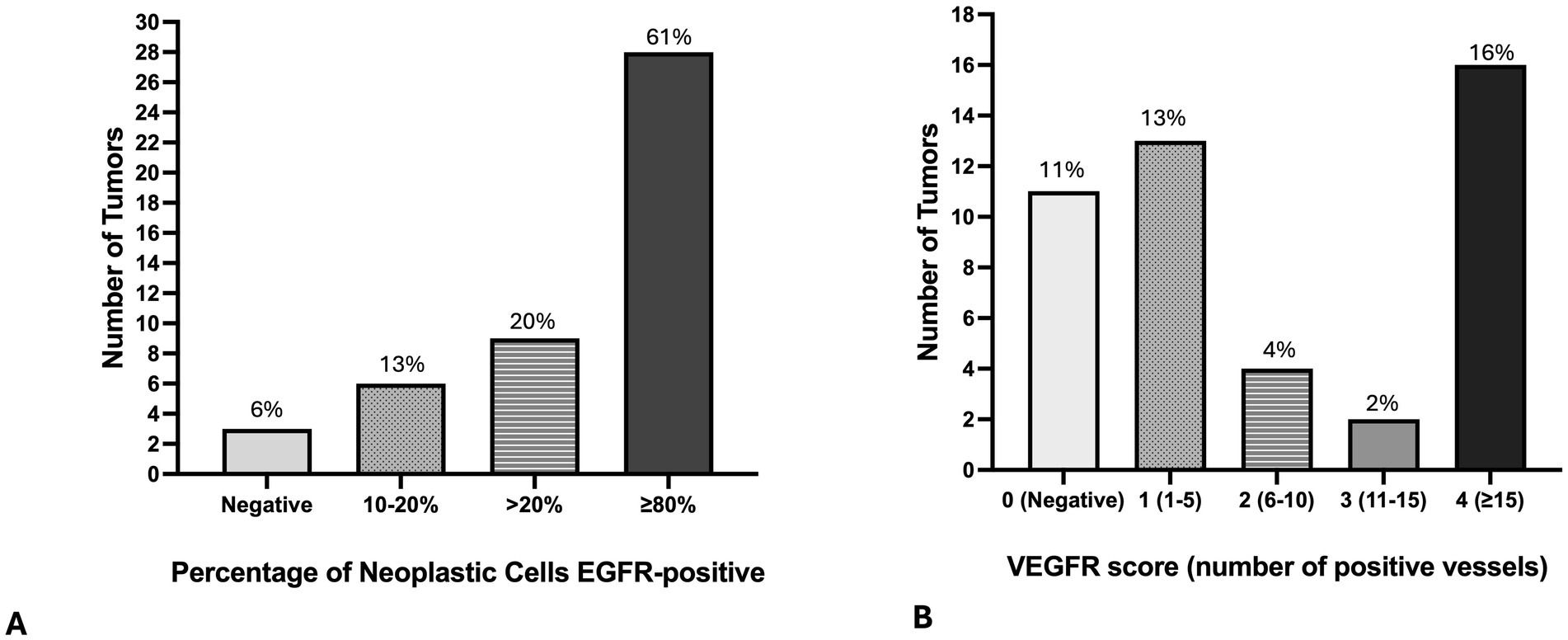 Bar graphs displaying tumor data. Graph A shows the number of tumors by EGFR-positive neoplastic cells: Negative (6%), 10-20% (13%), greater than 20% (20%), and greater than or equal to 80% (61%). Graph B shows tumors by VEGFR score: Negative (11%), 1 (1-5) (13%), 2 (6-10) (4%), 3 (11-15) (2%), and 4 (greater than or equal to 15) (16%).