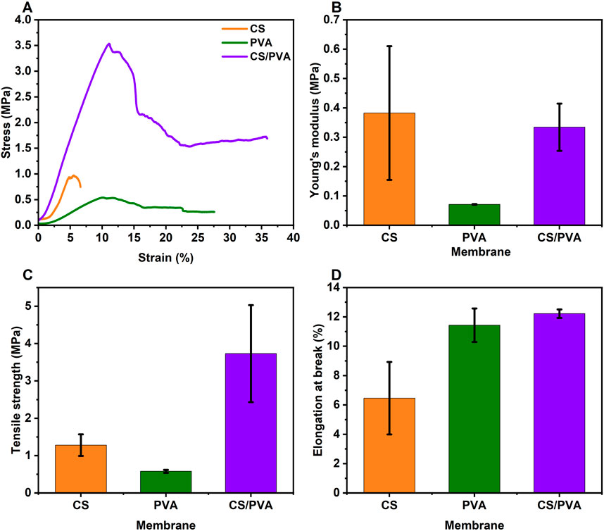 Graphical analysis of membrane properties. Panel A shows stress-strain curves for CS, PVA, and CS/PVA membranes, with CS/PVA having the highest stress. Panel B compares Young's modulus, with CS having the highest. Panel C displays tensile strength, where CS/PVA is highest. Panel D shows elongation at break, with CS/PVA leading, followed by PVA. Error bars represent variability.