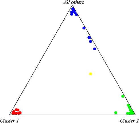 A ternary plot illustrates the clustering of individuals based on ancestral proportions, with Cluster 1 (African ancestry) shown as red dots in the lower left, Cluster 2 (European ancestry) as green dots in the lower right, and all others (primarily Native American or admixed ancestries) as blue dots concentrated at the top. The subject is represented by a single yellow dot located centrally among the three clusters, suggesting a tri-hybrid ancestry with mixed African, European, and Native American components.