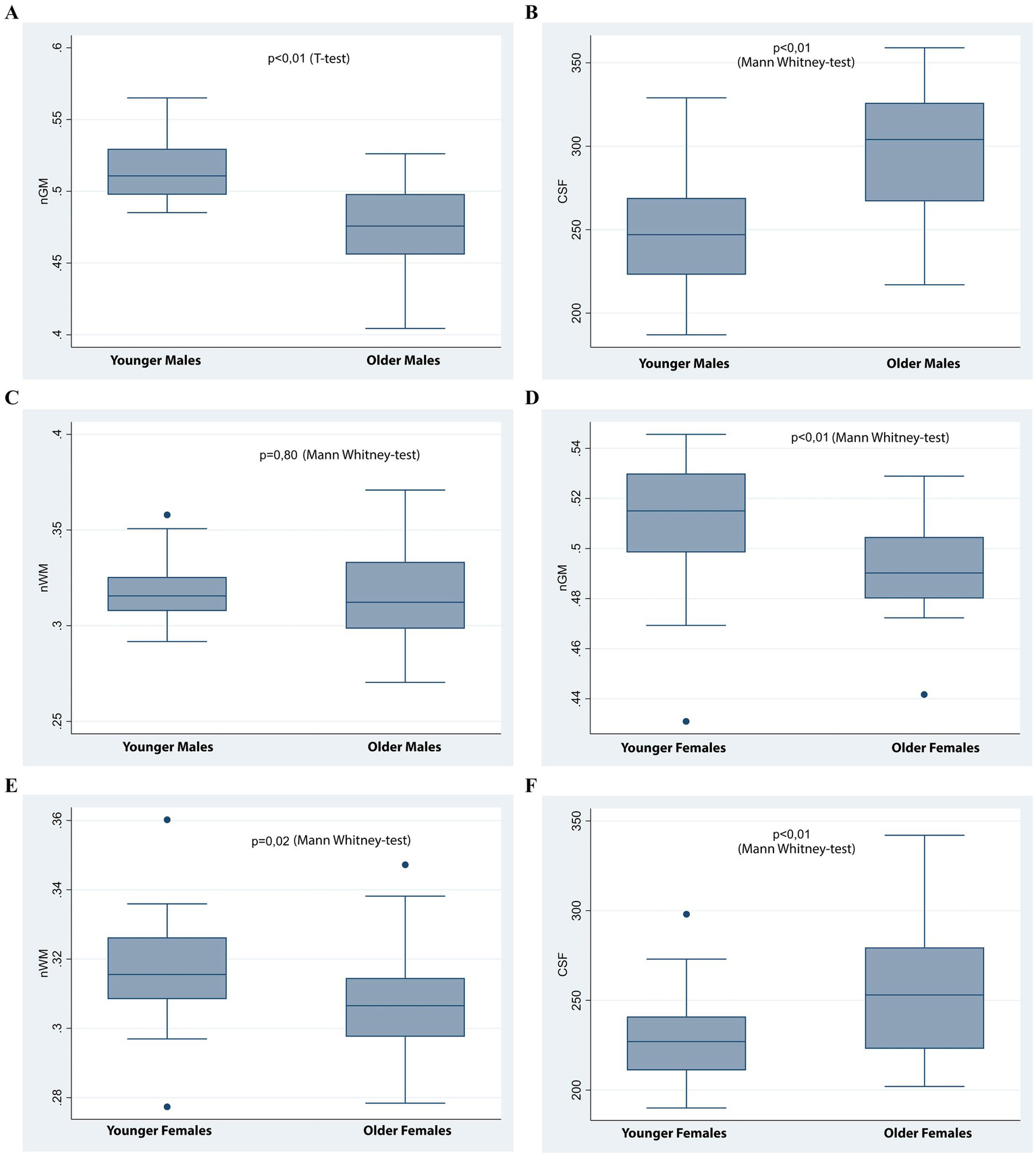 Six box plots compare various measurements between age and gender groups. A: nGM in younger vs. older males, showing a significant difference with a p-value less than 0.01 (T-test). B: CSF in younger vs. older males, significant with p<0.01 (Mann Whitney-test). C: nWM in younger vs. older males, no significant difference, p=0.80 (Mann Whitney-test). D: nGM in younger vs. older females, significant with p<0.01 (Mann Whitney-test). E: nWM in younger vs. older females, significant with p=0.02 (Mann Whitney-test). F: CSF in younger vs. older females, significant with p<0.01 (Mann Whitney-test).