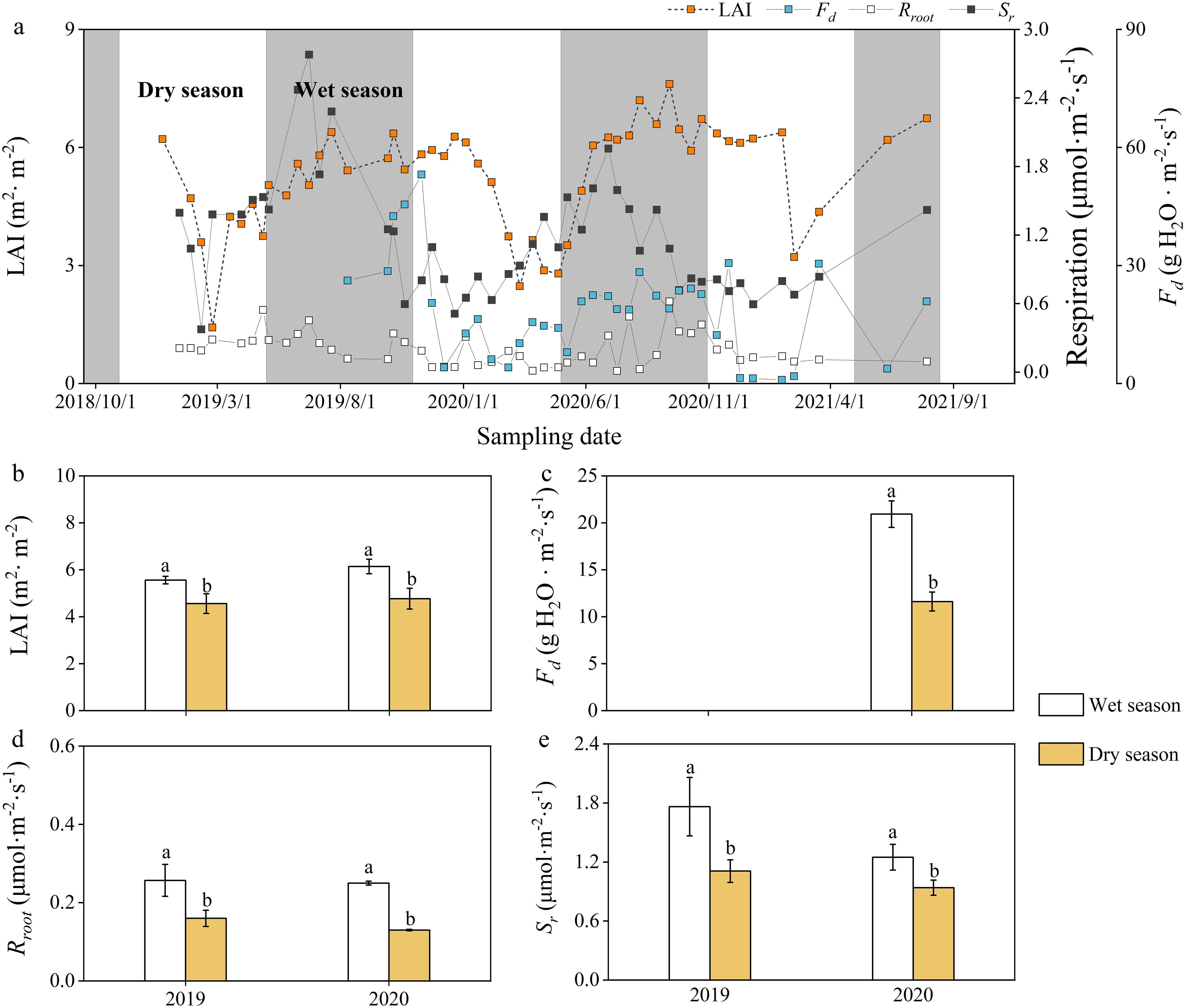 The image contains five panels showing data comparisons between wet and dry seasons from 2018 to 2021. Panel a displays fluctuations in leaf area index (LAI), daytime water flux (\(F_d\)), root respiration (\(R_{\text{root}}\)), and soil respiration (\(S_r\)) over time. Panels b to e compare these variables for 2019 and 2020, with bar charts showing differences between wet and dry seasons. The wet season is indicated with white bars and the dry season with yellow bars, highlighting seasonal impacts on each variable. Data points are marked with different symbols and colors for clarity.