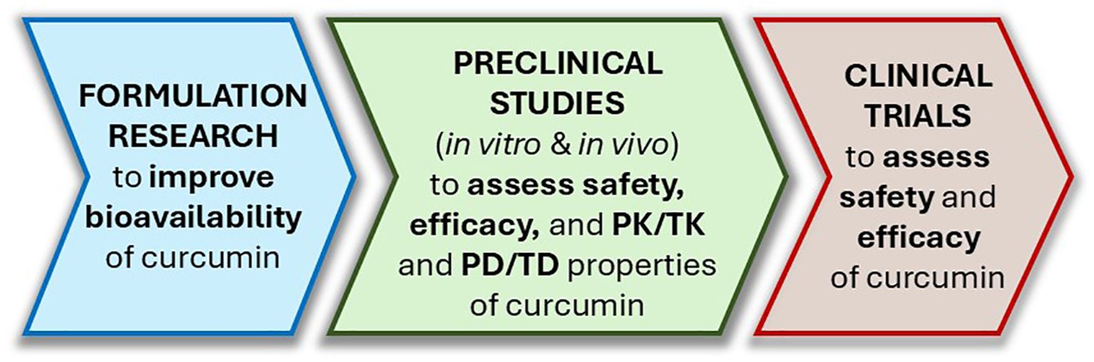 Flowchart showing three stages of curcumin research. First stage: Formulation Research to improve bioavailability. Second stage: Preclinical Studies (in vitro and in vivo) to assess safety, efficacy, and pharmacokinetics. Third stage: Clinical Trials to assess safety and efficacy.