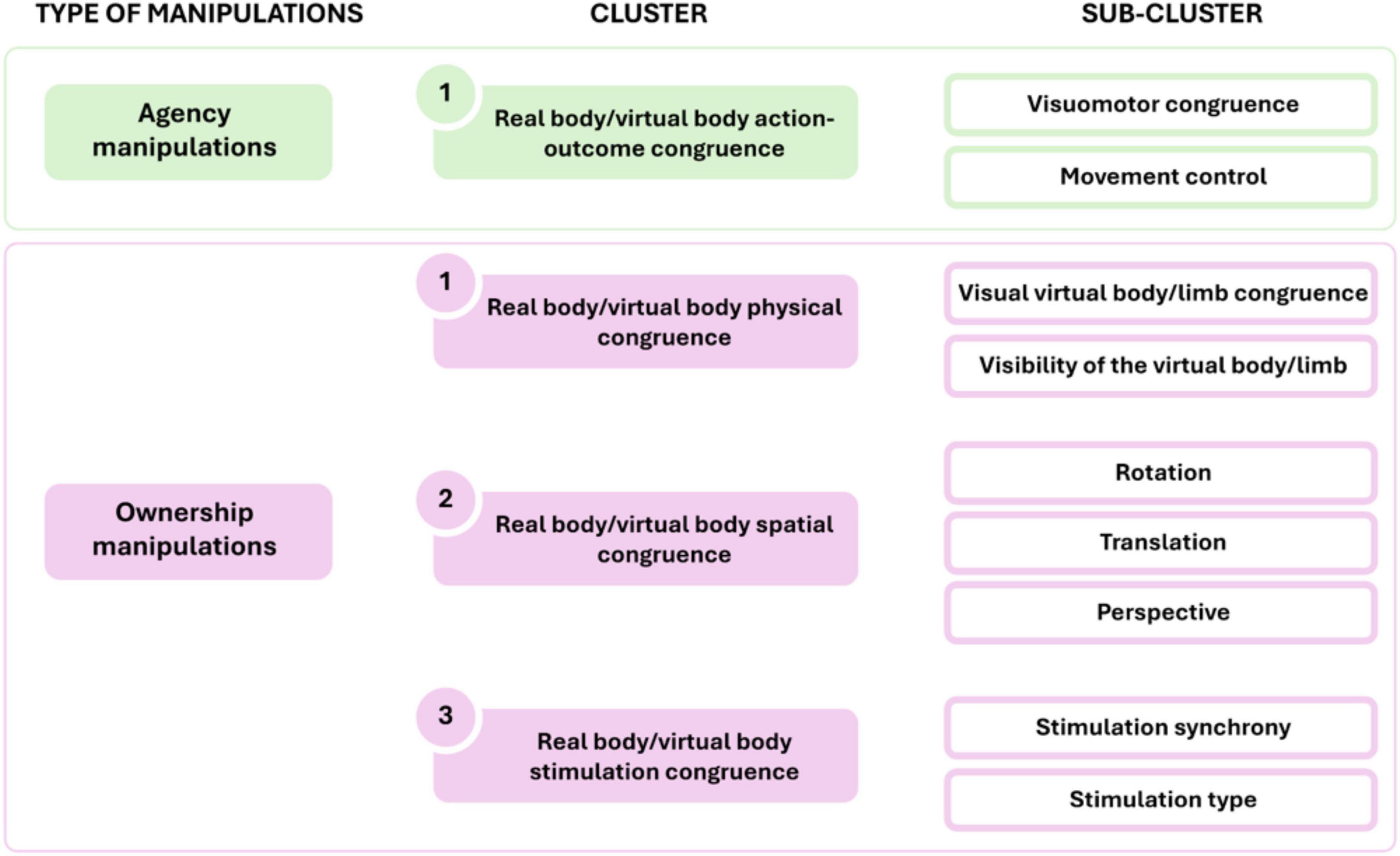 Diagram categorizing manipulations into agency and ownership. Agency includes a cluster titled “Real body/virtual body action-outcome congruence” with sub-clusters “Visuomotor congruence” and “Movement control.” Ownership includes clusters: “Real body/virtual body physical congruence” with “Visual virtual body/limb congruence” and “Visibility of the virtual body/limb”; “Real body/virtual body spatial congruence” with “Rotation,” “Translation,” and “Perspective”; “Real body/virtual body stimulation congruence” with “Stimulation synchrony” and “Stimulation type.”