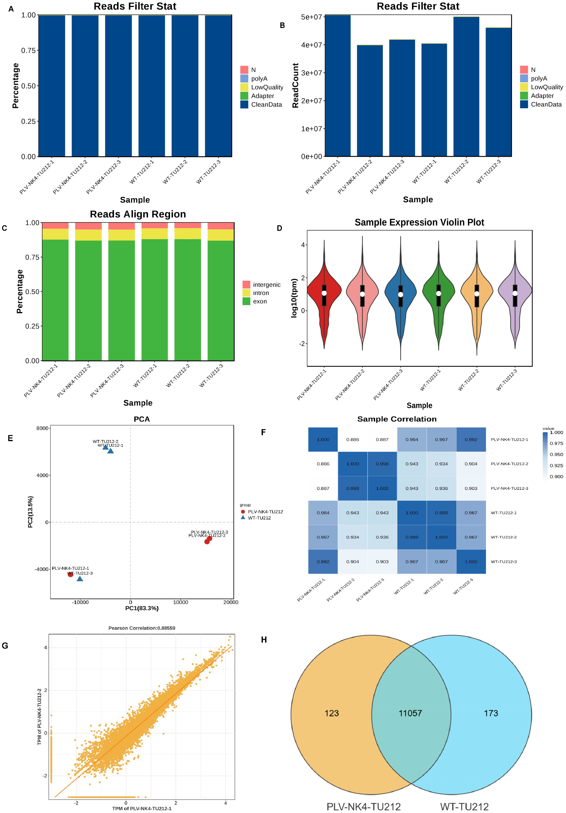 Panel A shows a series of three cell migration assays at 0 and 48 hours for Control, PlV-NC-TU212, and Plv-NK4-TU212 conditions. The gaps between cells narrow over time, indicating migration. Panel B is a bar graph comparing relative migration. The Control shows the highest migration, while Plv-NK4-TU212 and PlV-NC-TU212 show decreased migration, with statistical significance indicated (**** and ***).