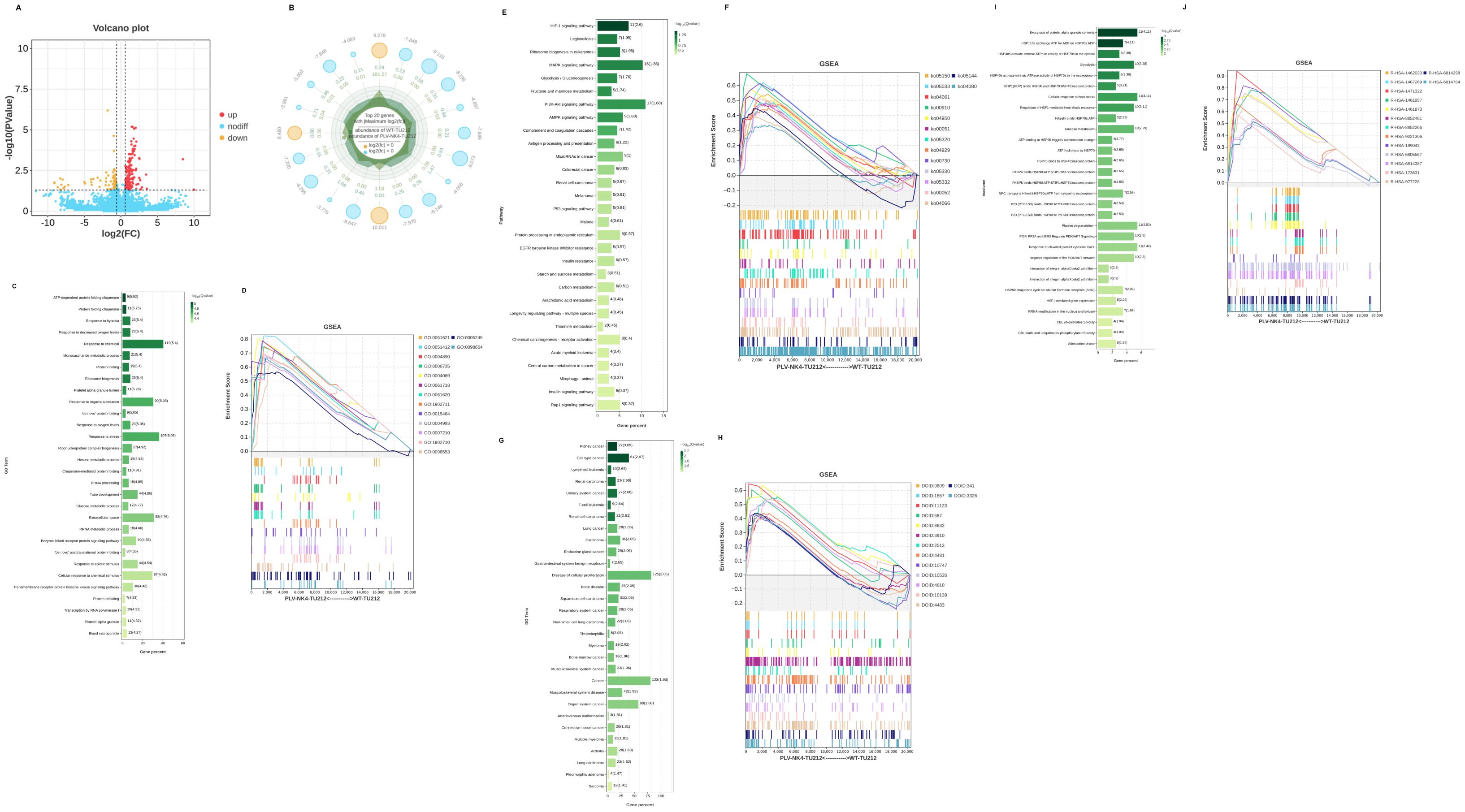 Eight-panel image showing data visualizations for sample analysis. Panel A and B: Bar charts illustrating reads filter statistics with categories like N, polyA, Low Quality, Adapter, and Clean Data. Panel C: Bar chart showing reads align regions categorized by intergenic, intron, and exon. Panel D: Violin plots displaying sample expression with log scale. Panel E: PCA plot showing sample clustering. Panel F: Heatmap showing sample correlation with correlation coefficients. Panel G: Scatter plot highlighting Pearson correlation. Panel H: Venn diagram showing overlap of 123 and 173 entities with a common region of 11,057 entities.